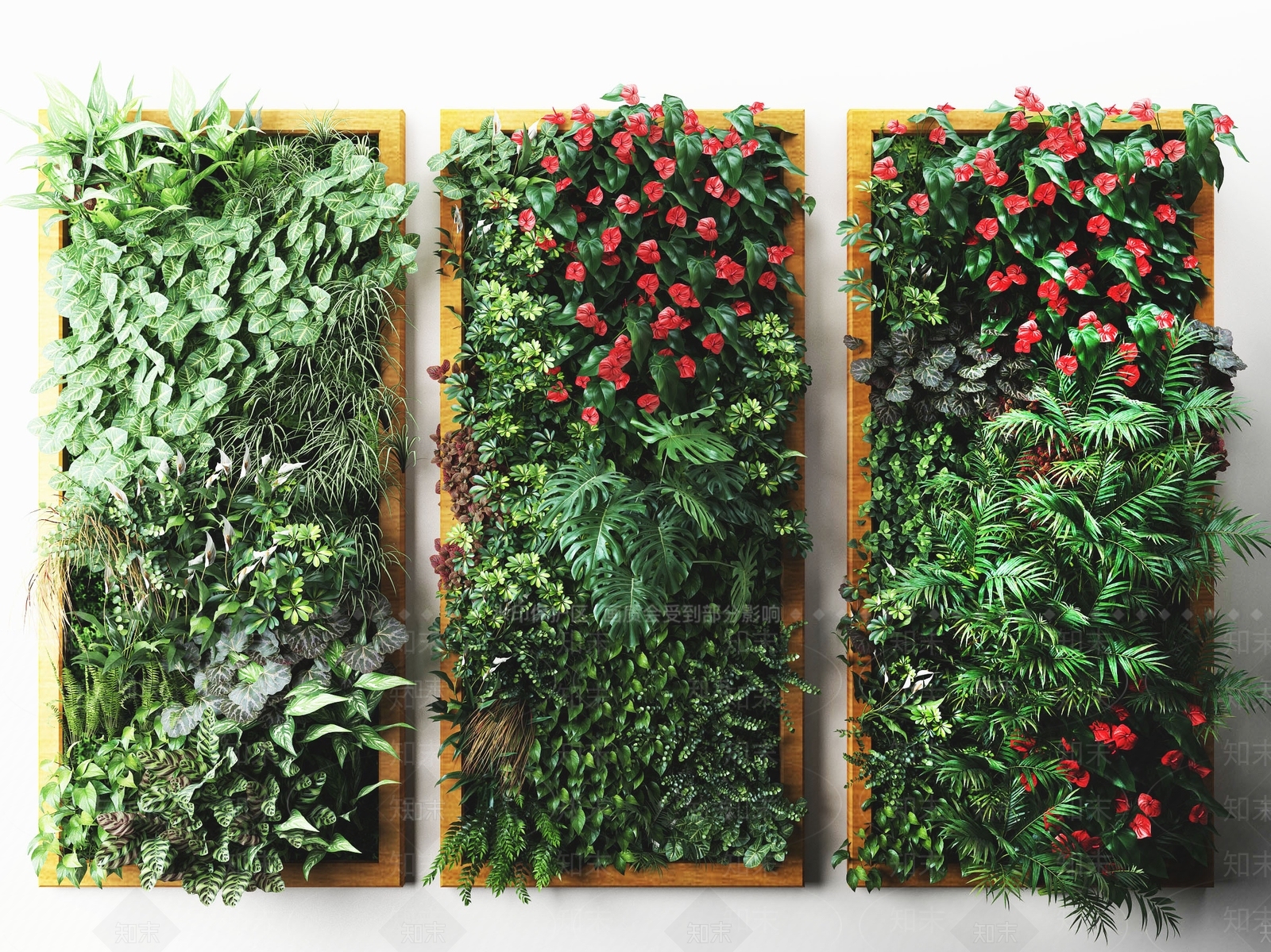现代植物3D模型下载【ID:455532295】