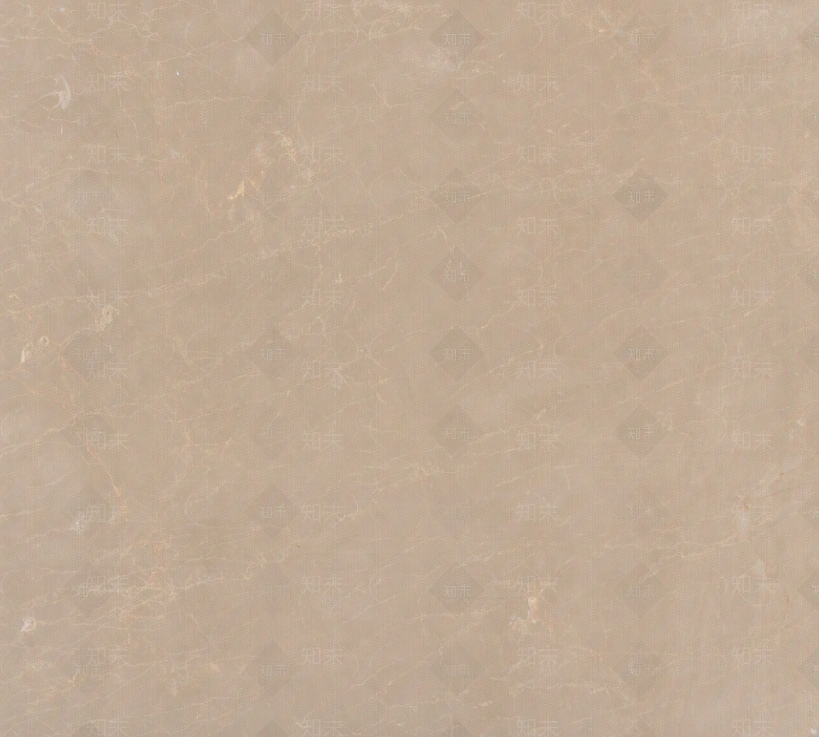 新莎安娜贴图下载【ID:355568114】