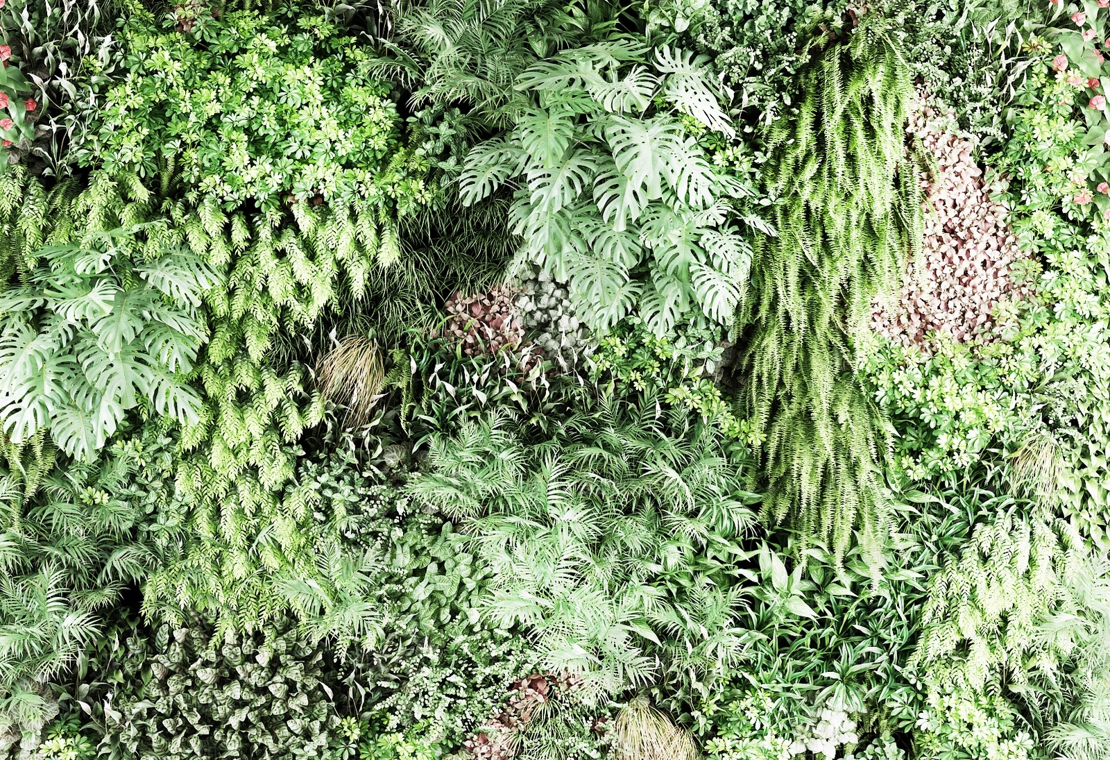 现代植物3D模型下载【ID:455657271】