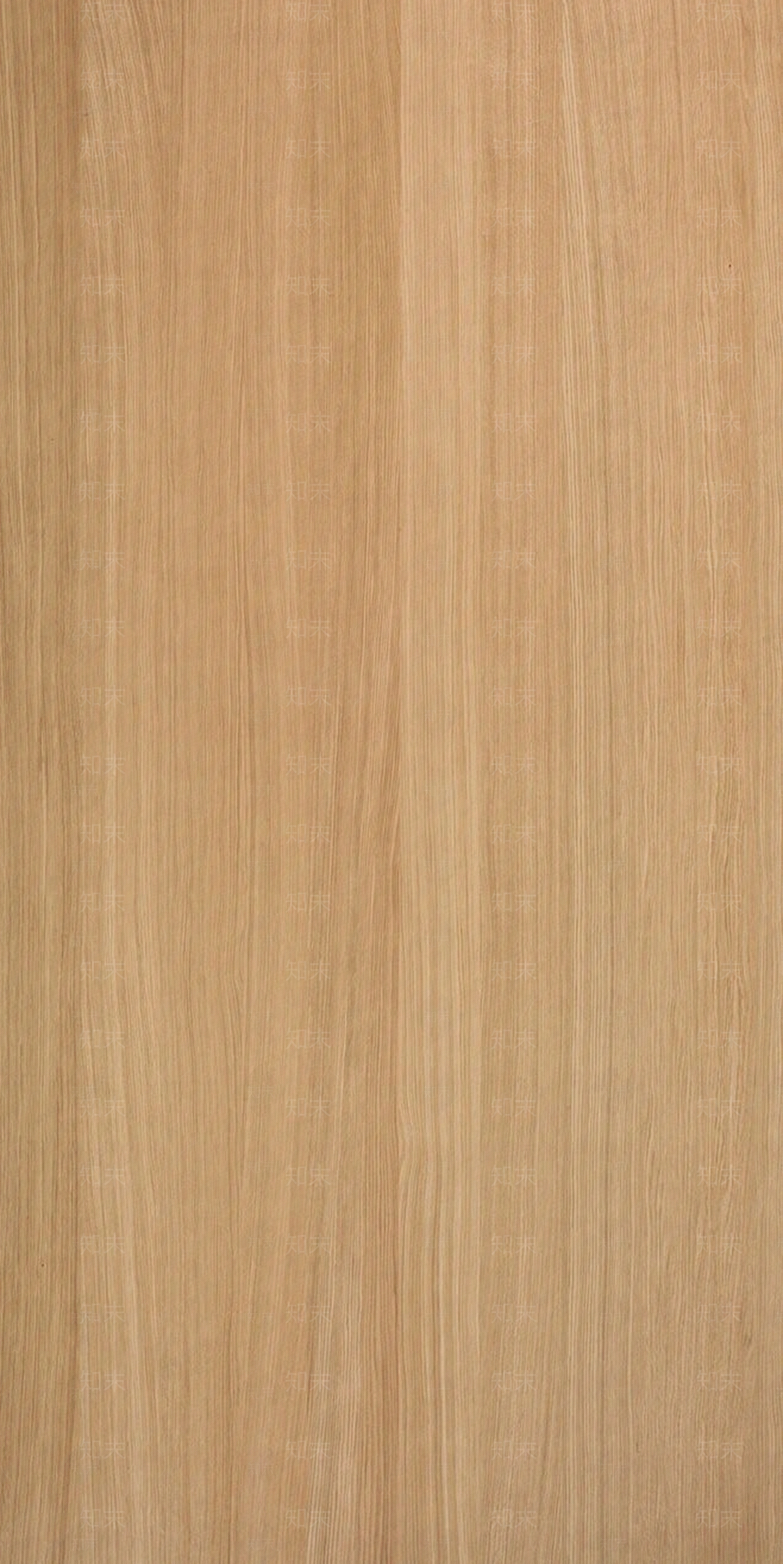 漂亮的木质纹理-12贴图下载【ID:955663727】