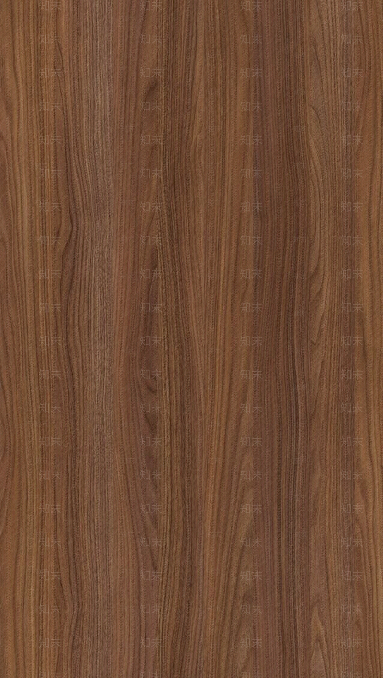 漂亮的木质纹理-13贴图下载【ID:955663736】