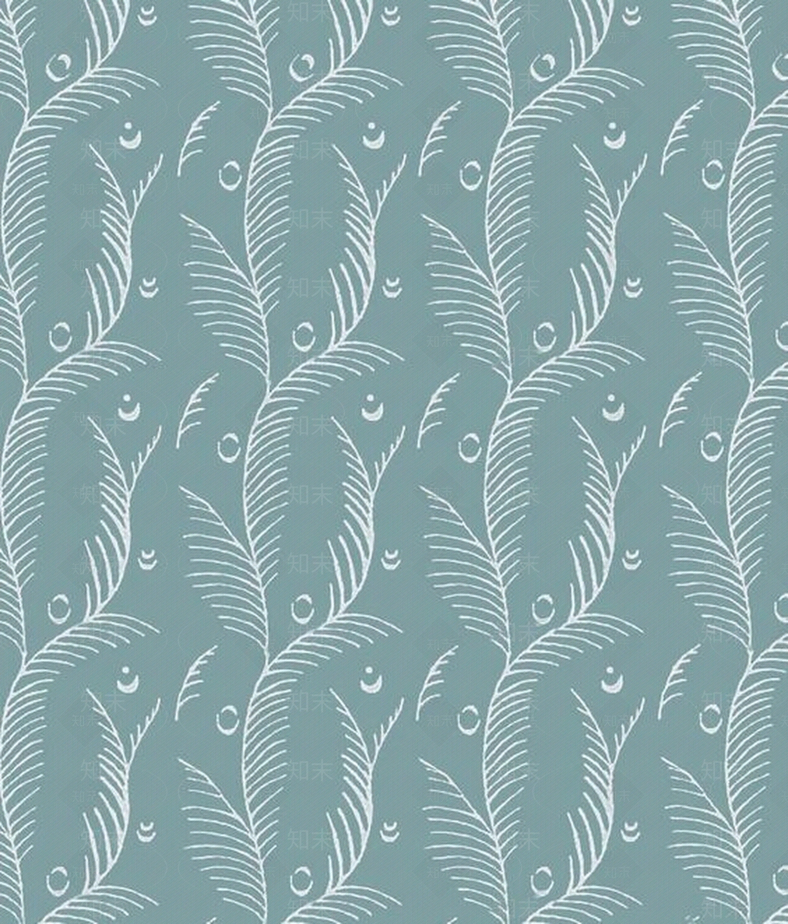 鸟壁纸贴图下载【ID:756043561】