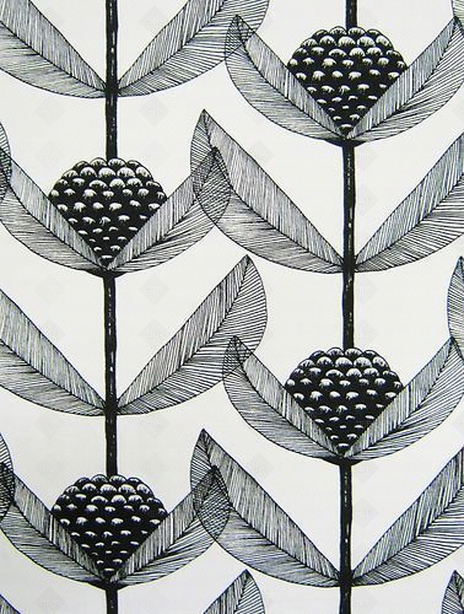 鸟壁纸贴图下载【ID:756044507】