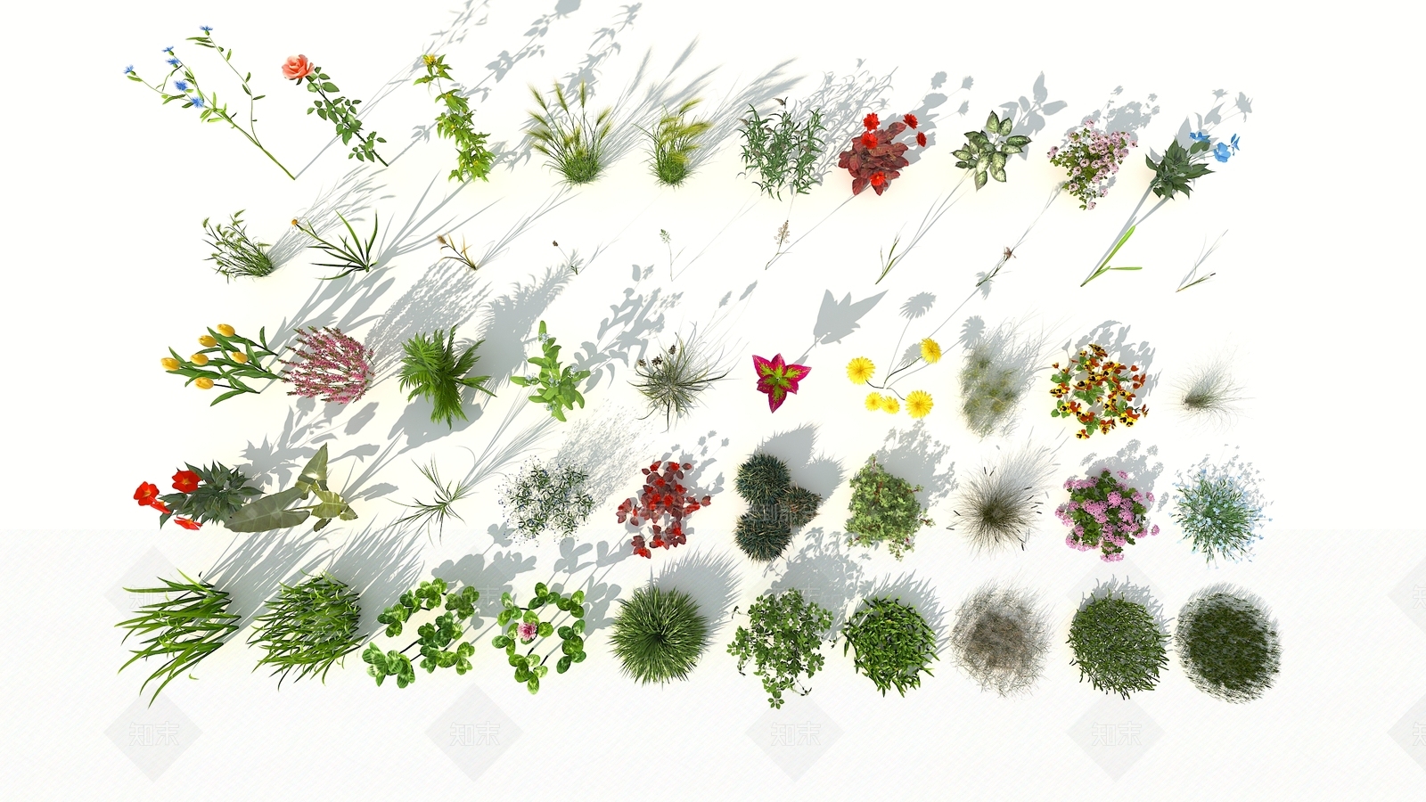 现代花草组合3D模型下载【ID:356075592】