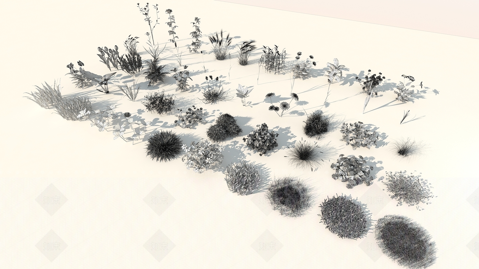现代花草组合3D模型下载【ID:356075592】