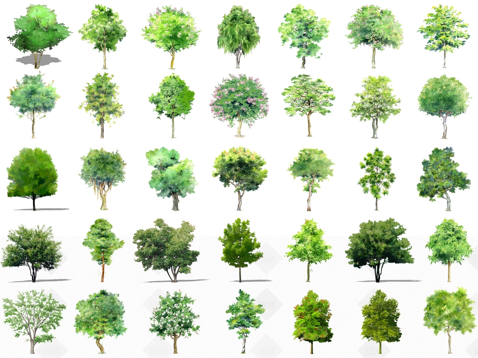 现代风格手绘植物组合SU模型下载【ID:156171923】