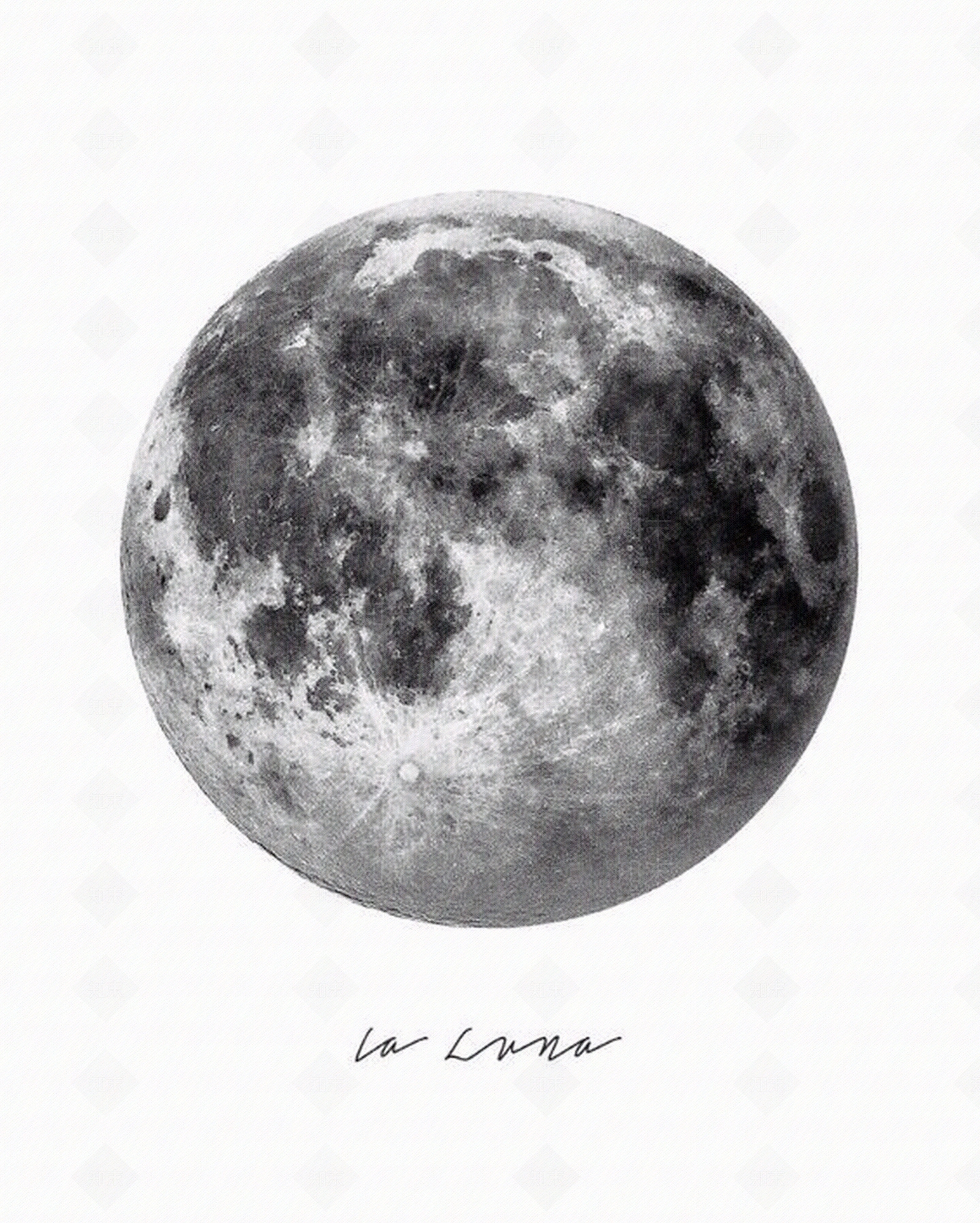 肌理漆贴图下载【ID:856285797】