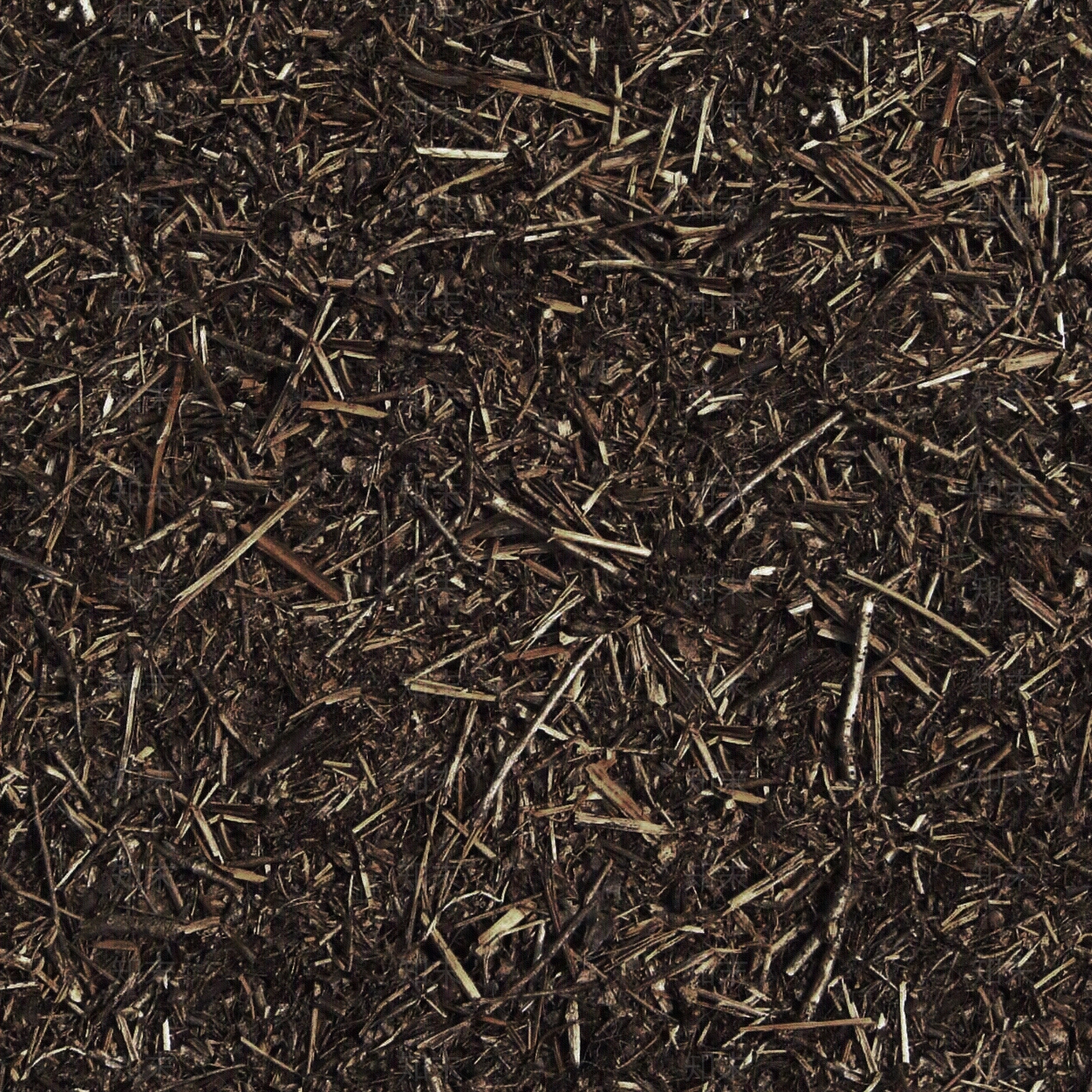 户外杂草树叶地面贴图下载 知末网贴图库