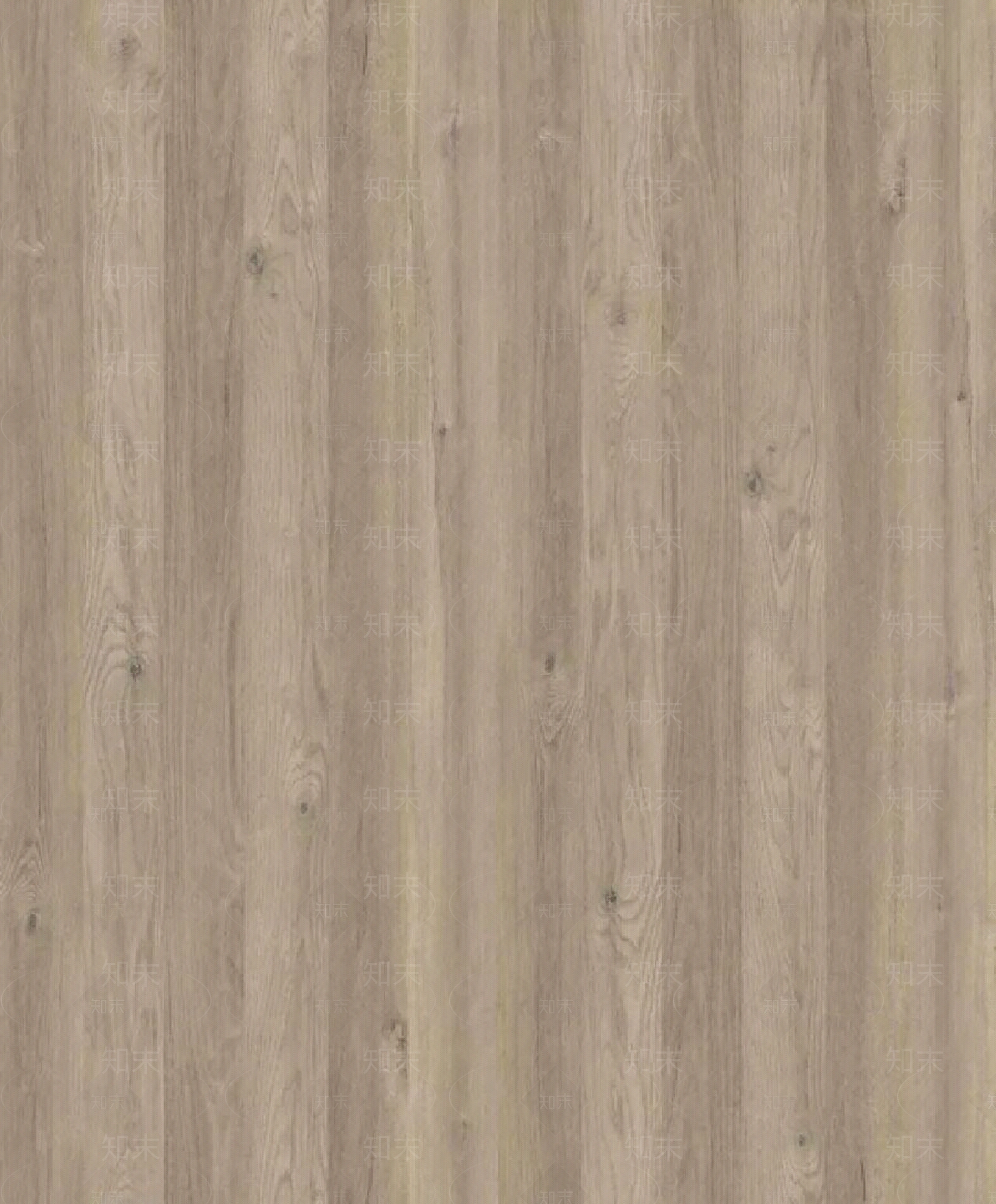 2020最新纳什橡木贴图1贴图下载【ID:956414856】