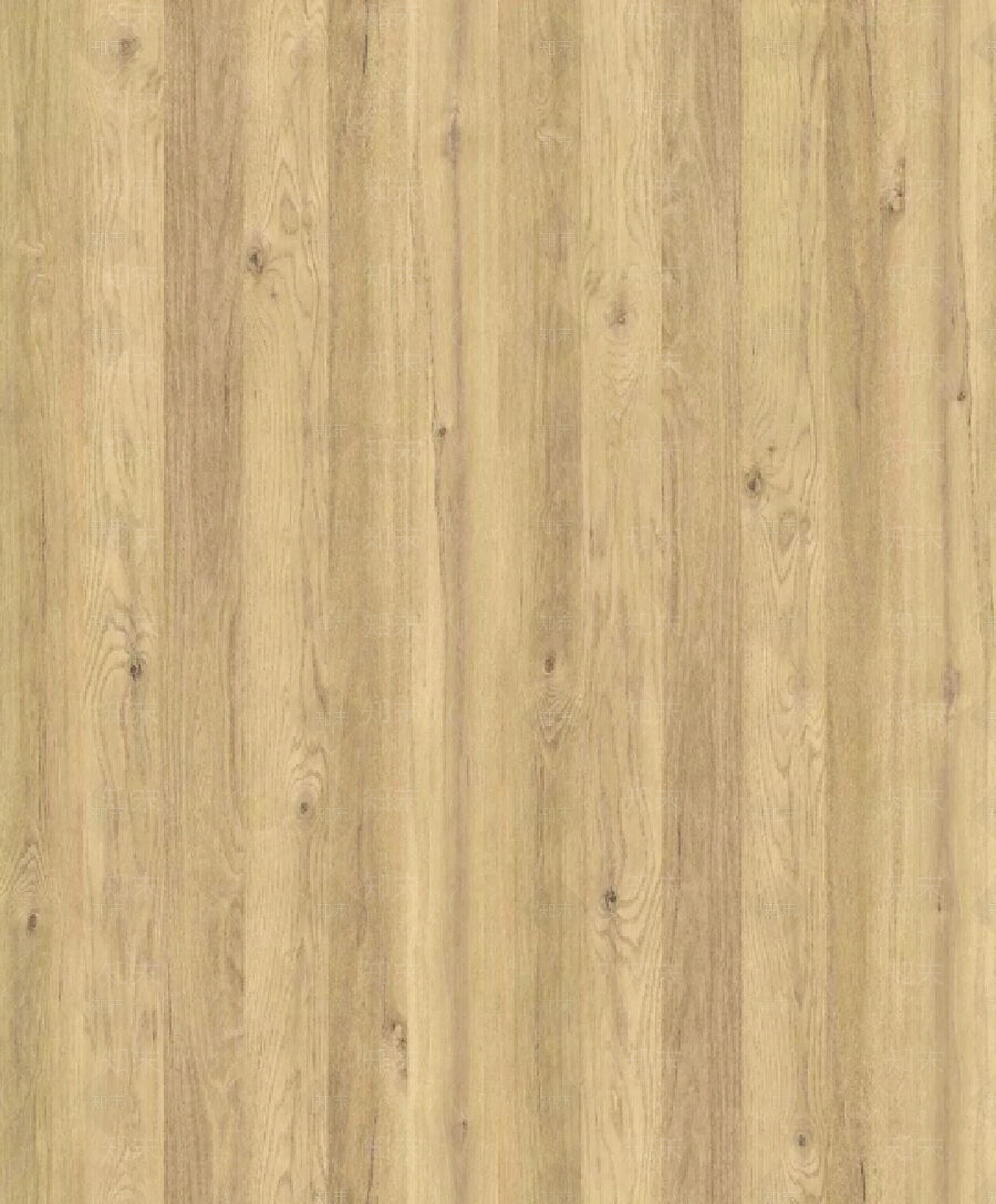 2020最新纳什橡木贴图3贴图下载【ID:956414871】