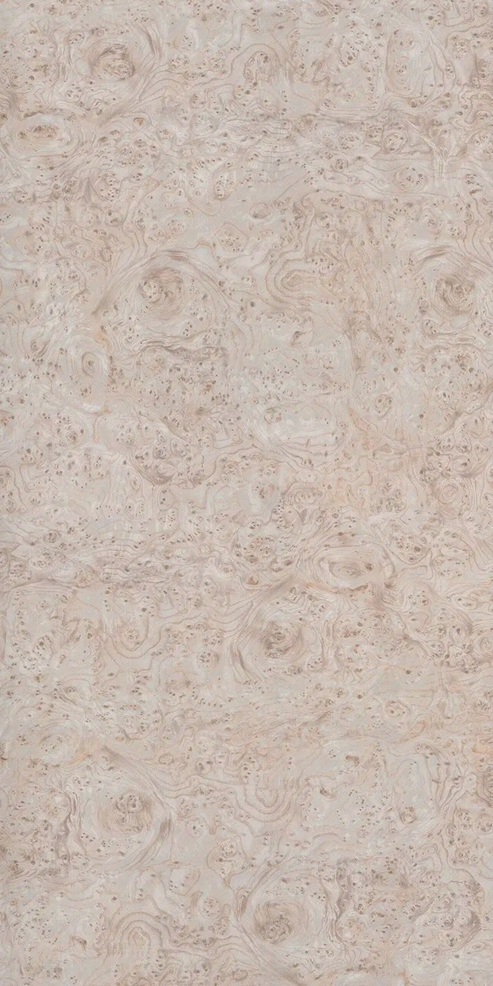 2020最新雀眼木贴图贴图下载【ID:956420814】