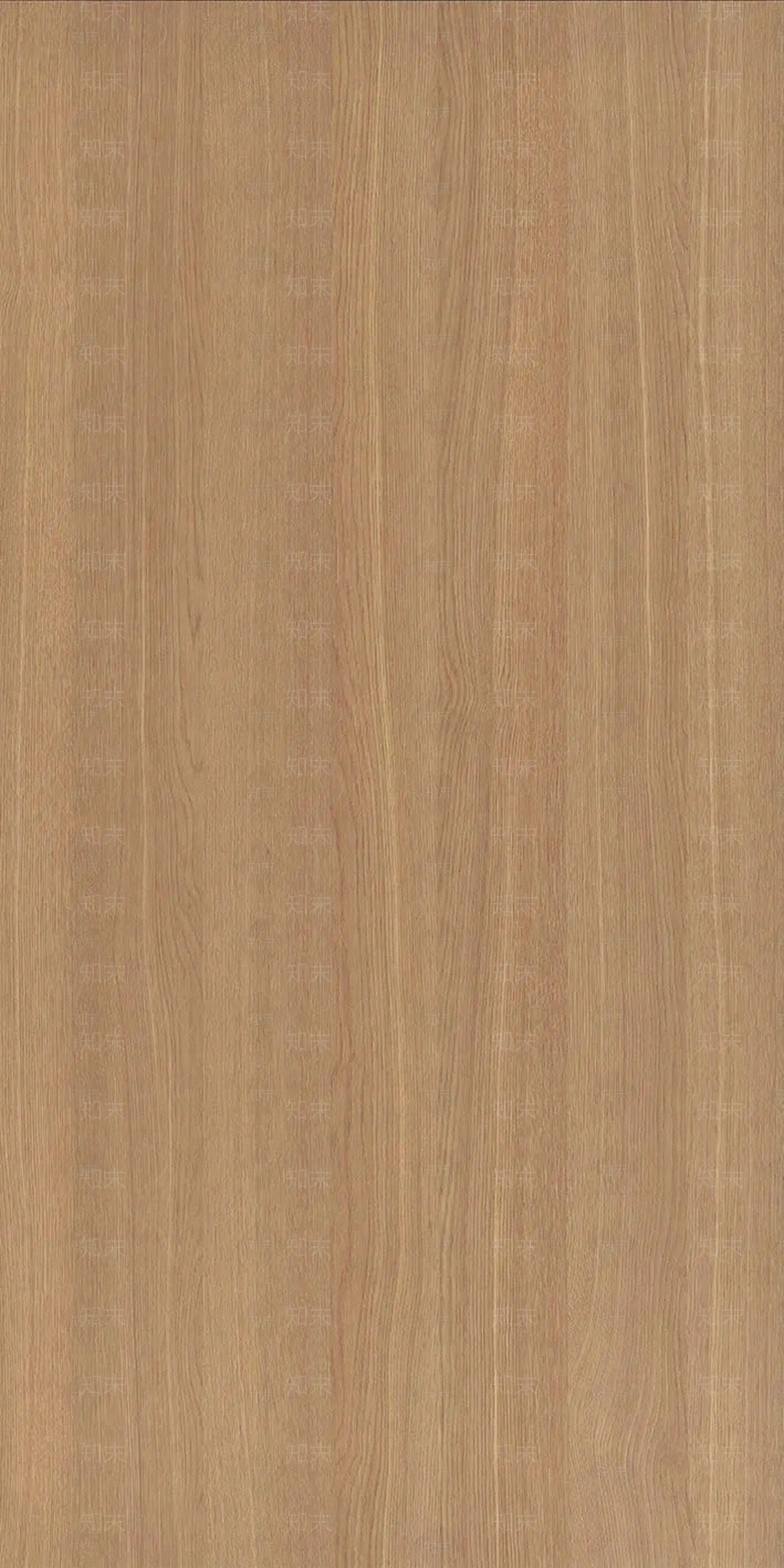 2020最新桑德贝橡木贴图贴图下载【ID:956420831】