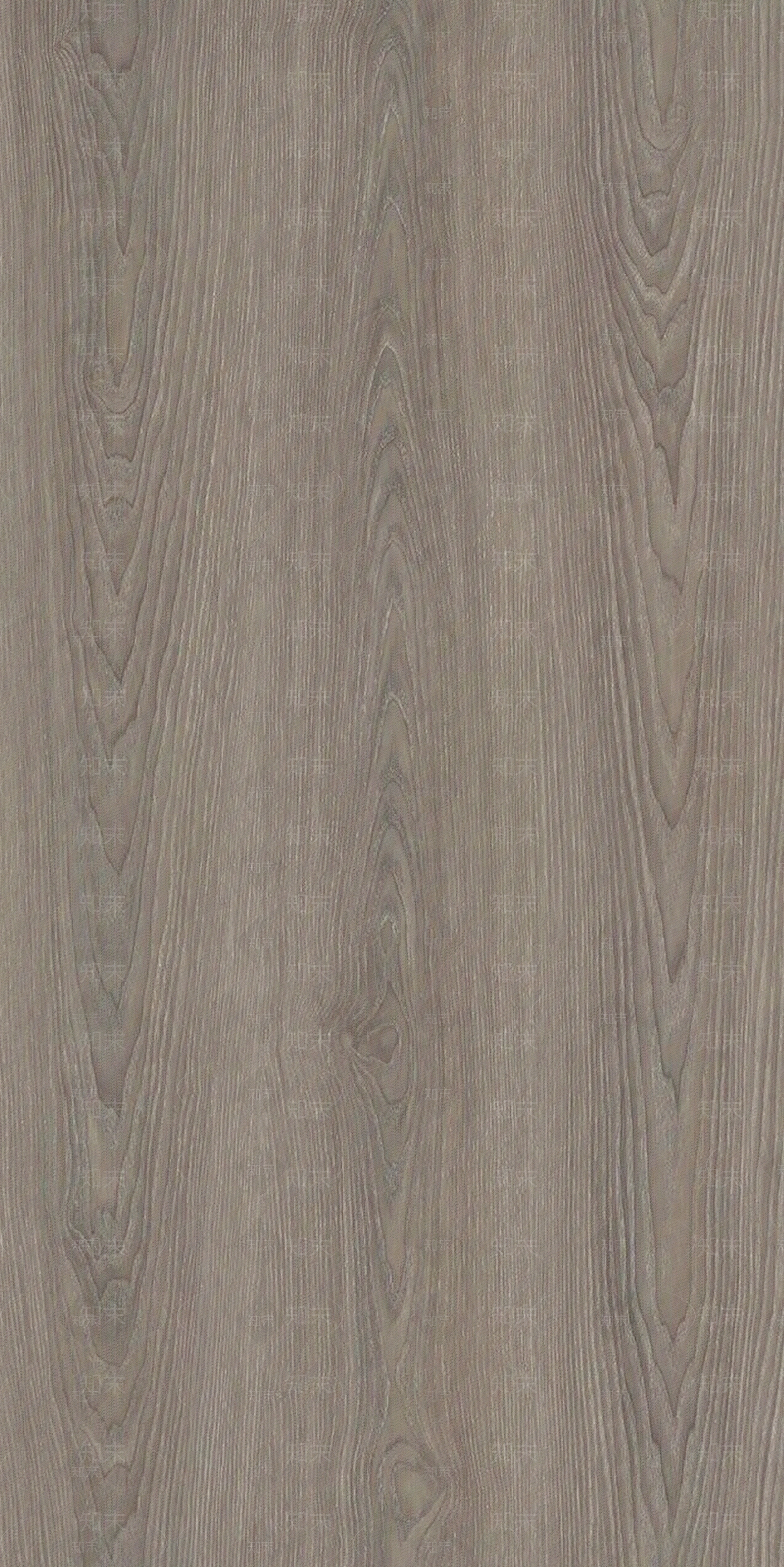 2020最新苏梅橡木贴图2贴图下载【ID:956424886】