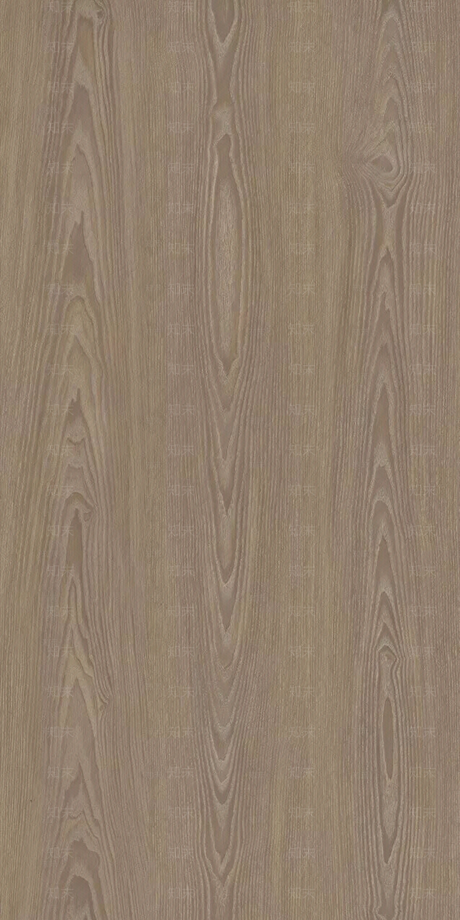 2020最新苏梅橡木贴图5贴图下载【ID:956425815】