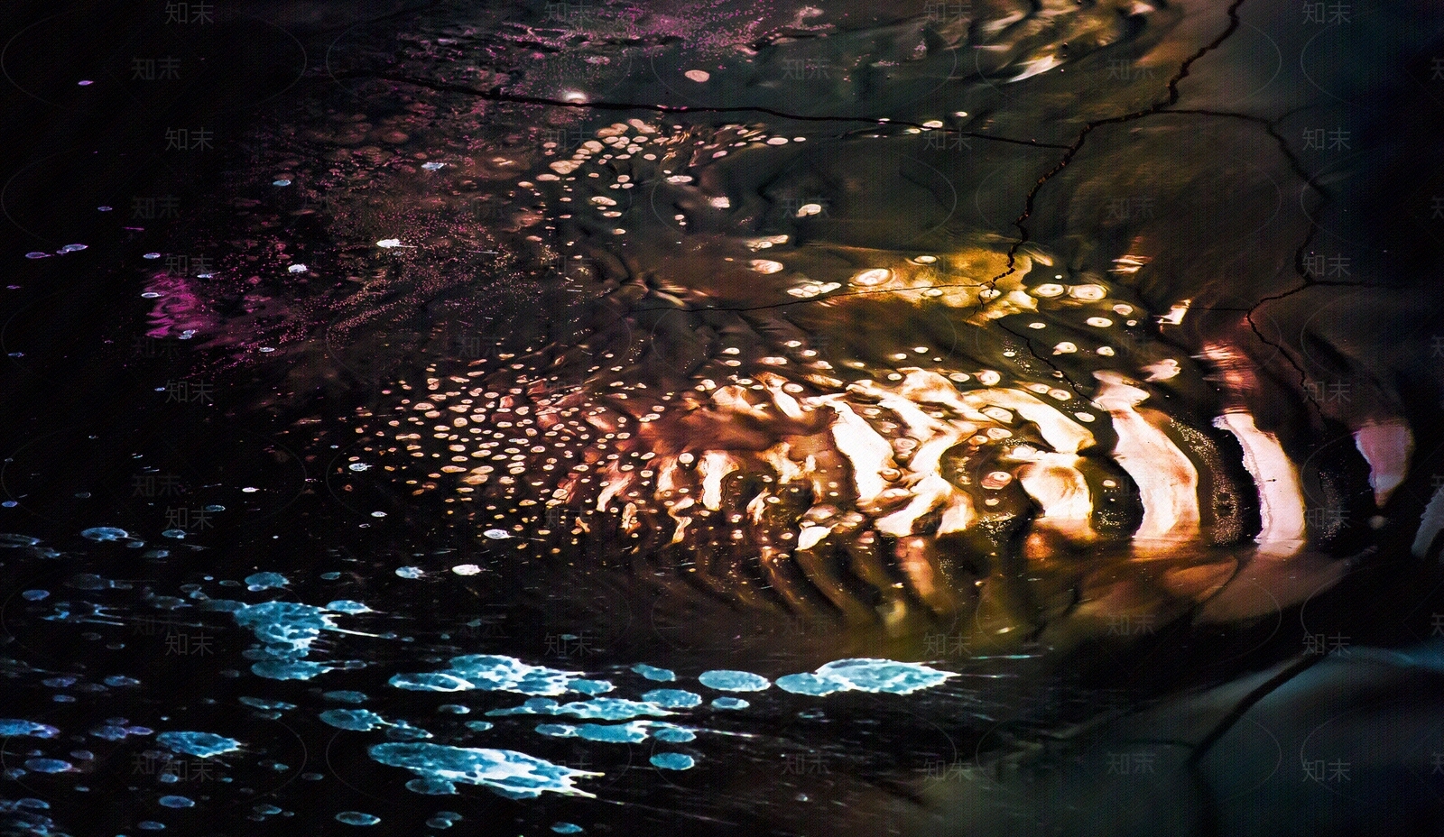 欢乐节、夜景、室外夜景贴图下载【ID:356620622】