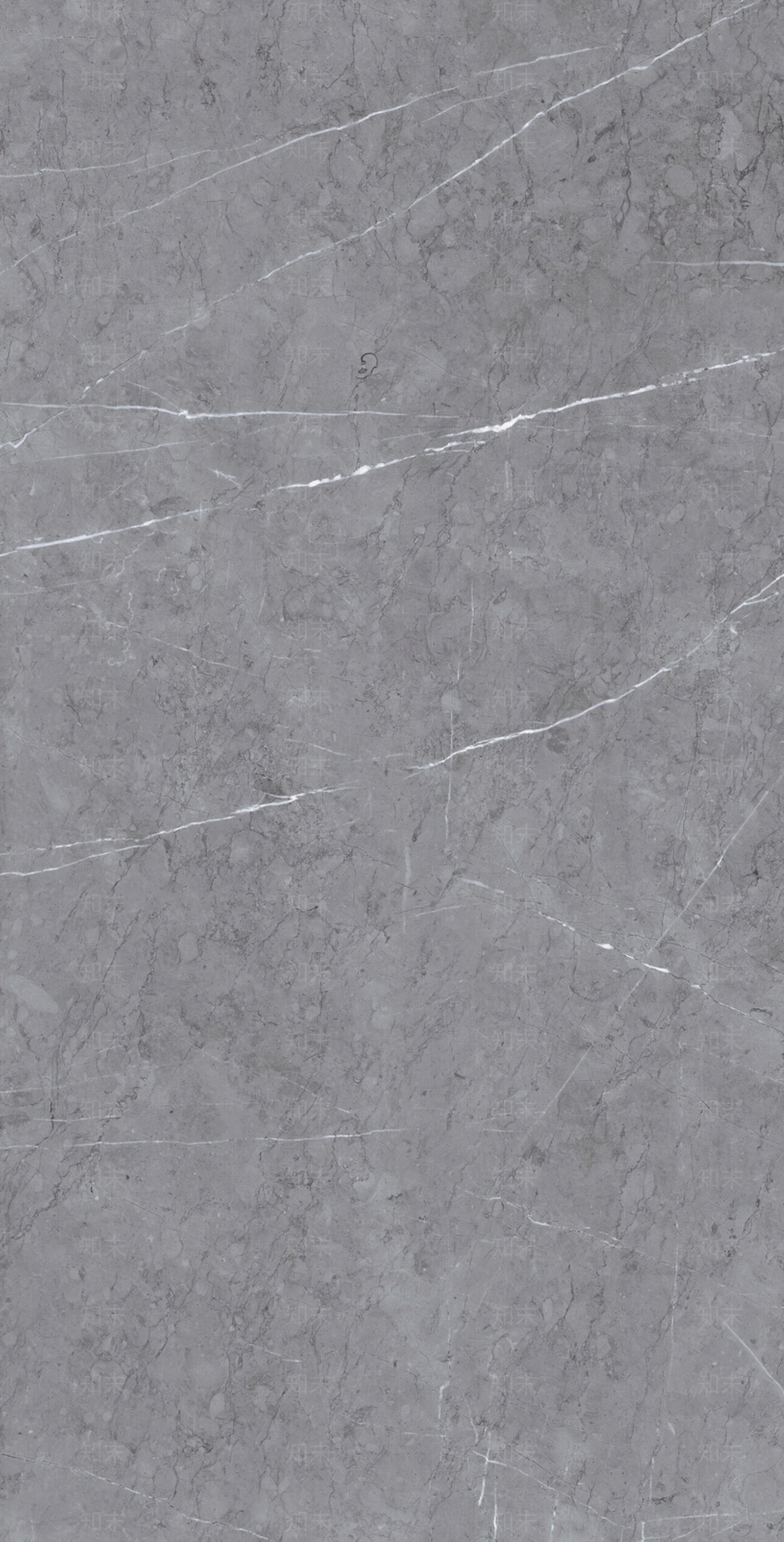 1200x2400贴图下载【ID:356725874】