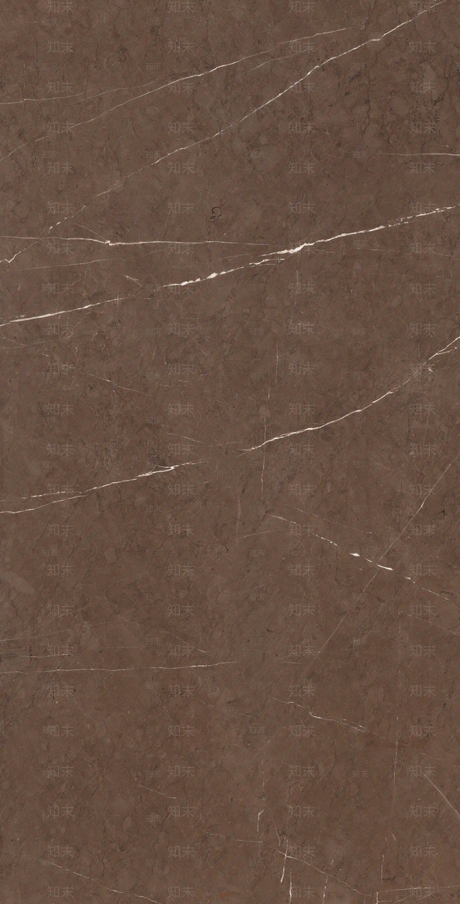 1200x2400贴图下载【ID:356725878】