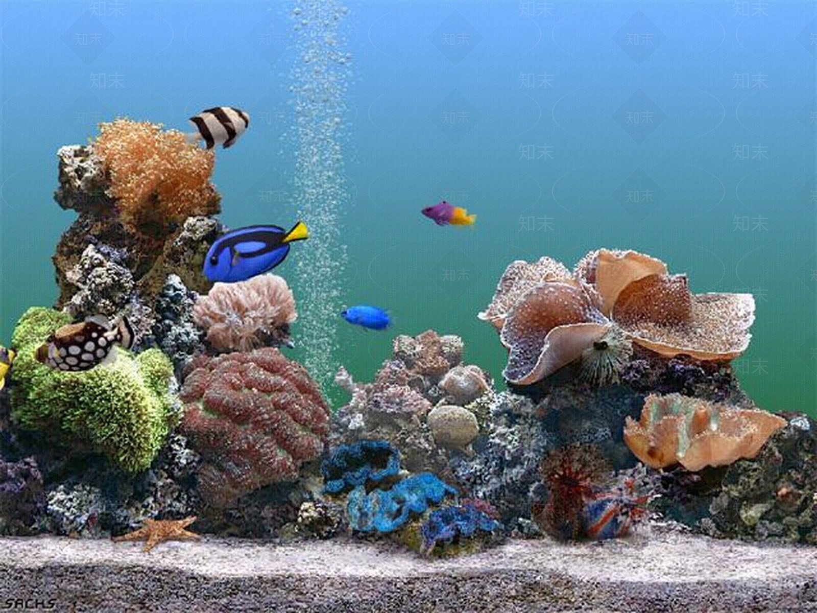 鱼缸贴图贴图下载【ID:956744030】