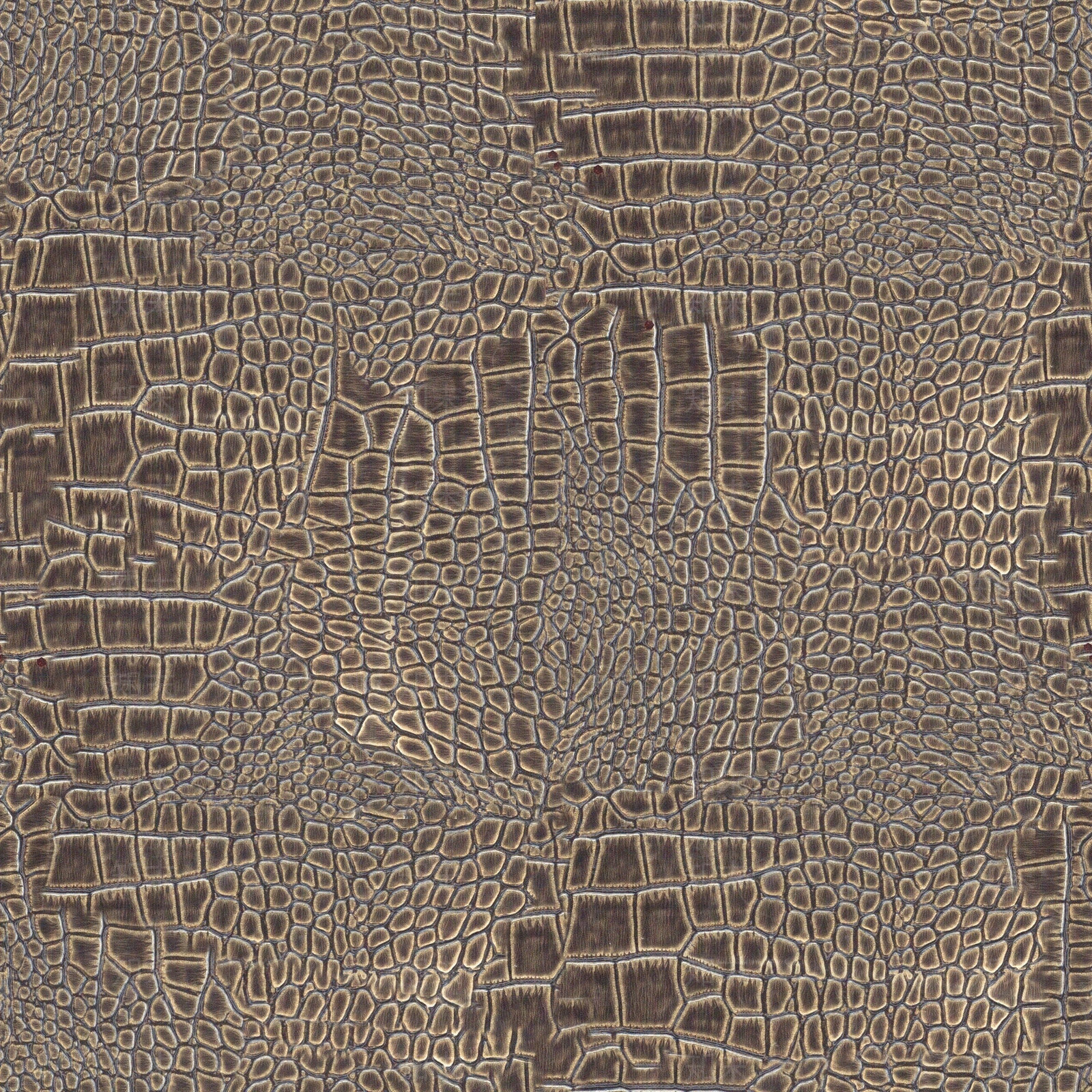 皮纹裂开亮色贴图下载【ID:757148173】