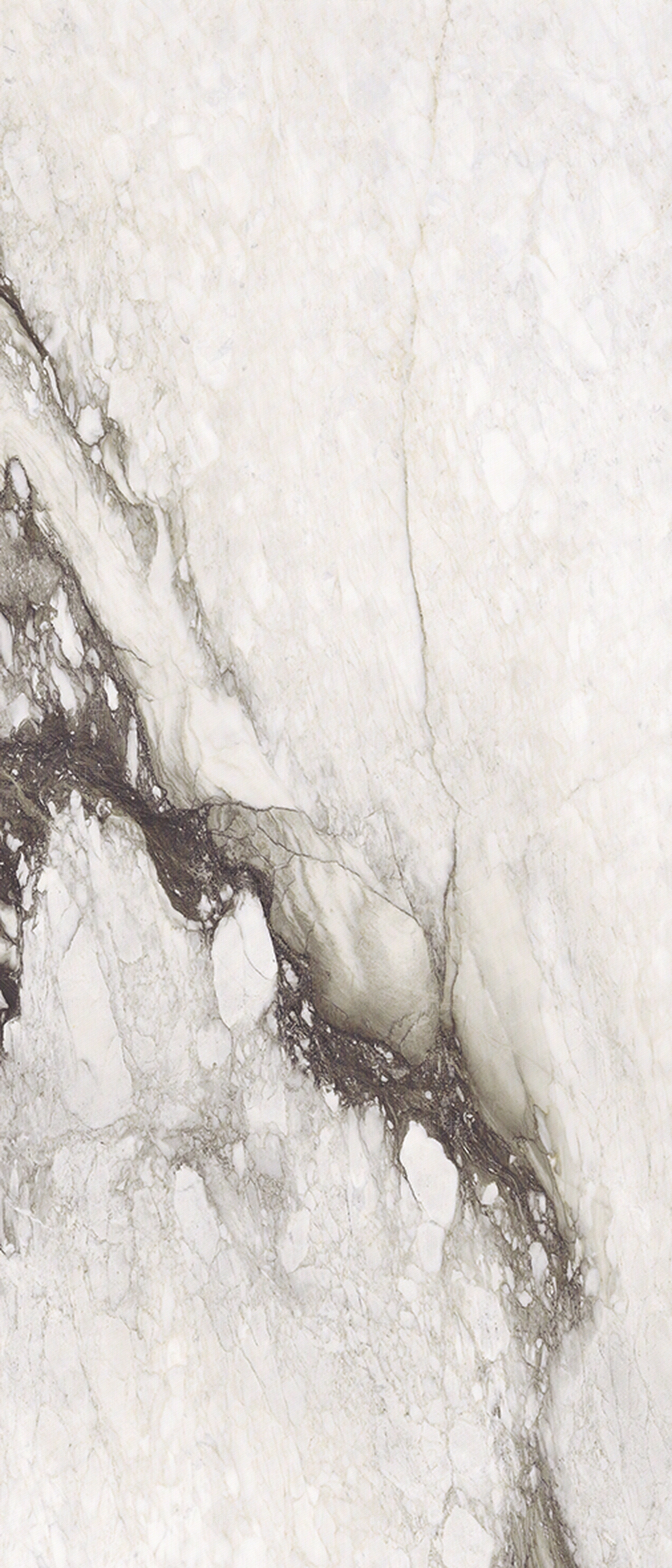 雷诺阿白色大理石光面贴图下载【ID:257264567】