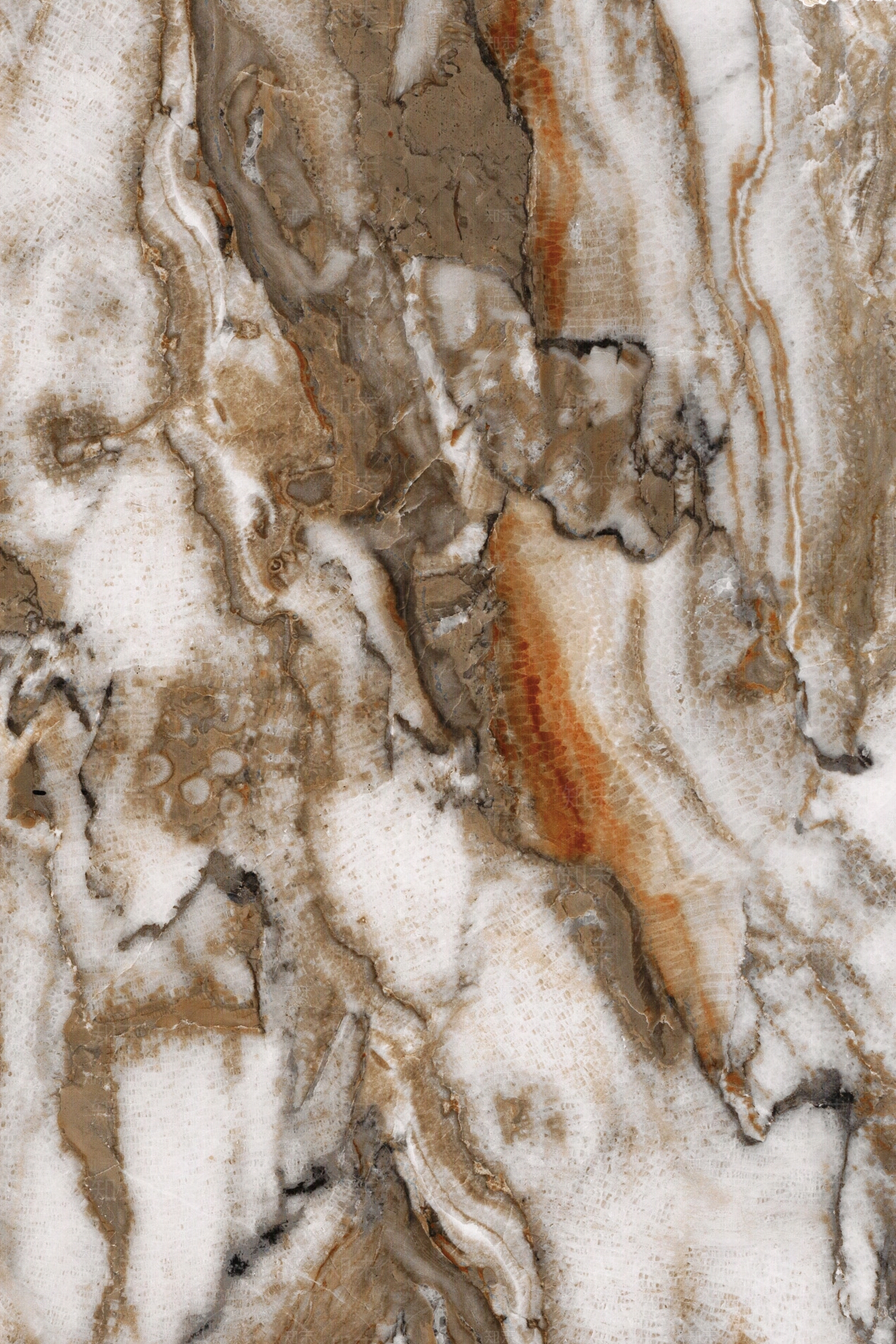 博德全瓷单片产品大全贴图下载【ID:357308847】