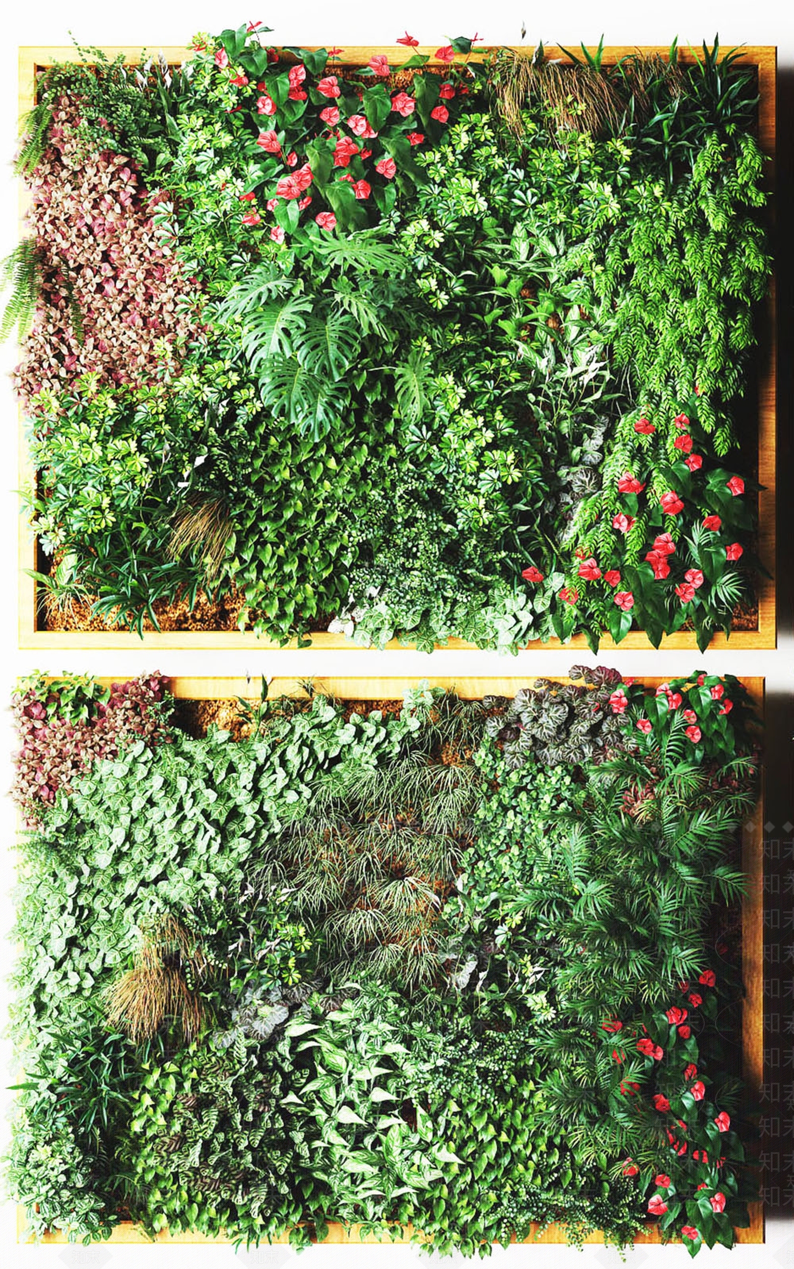 现代植物3D模型下载【ID:457410277】