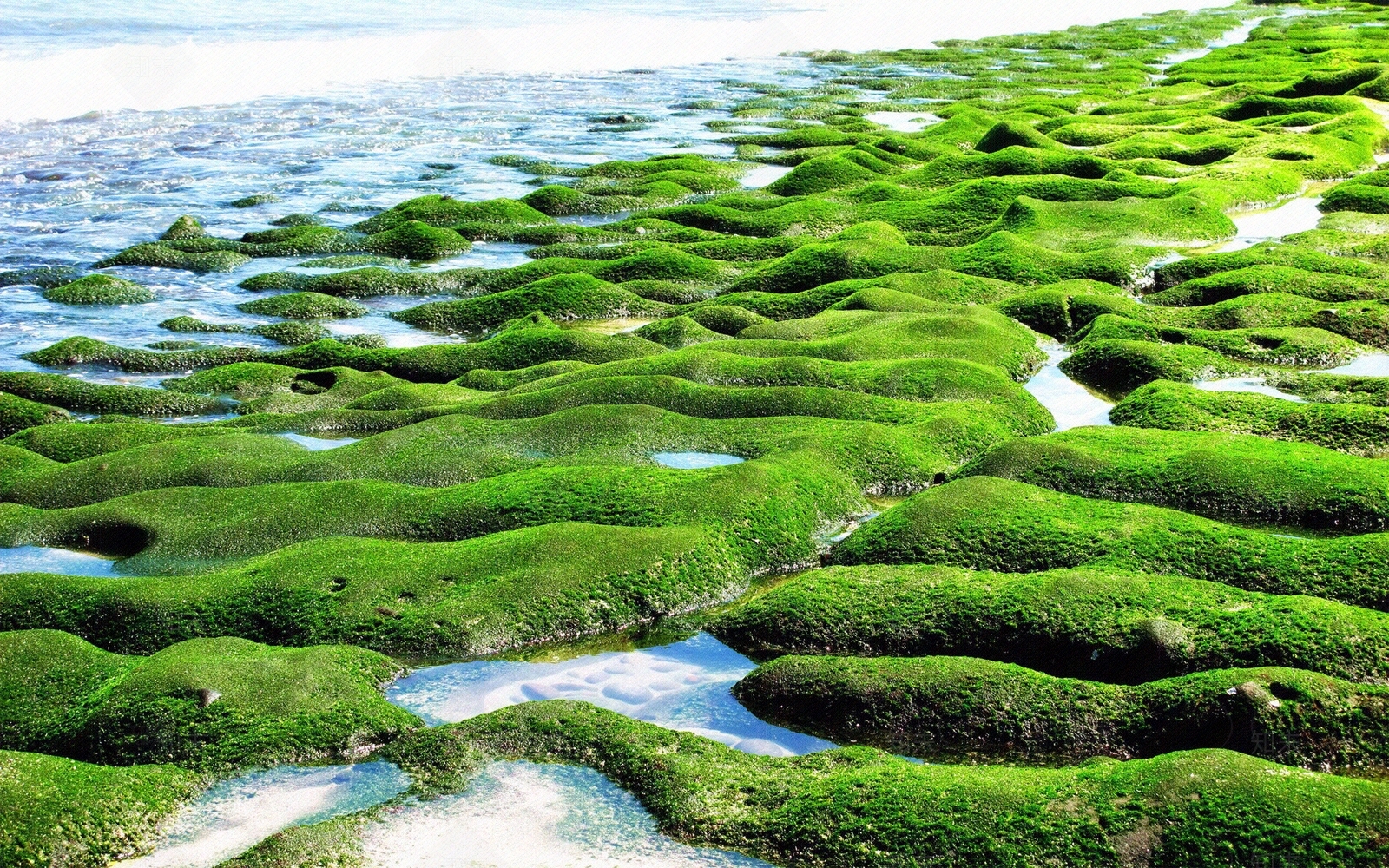 高清外景贴图贴图下载【ID:857918223】