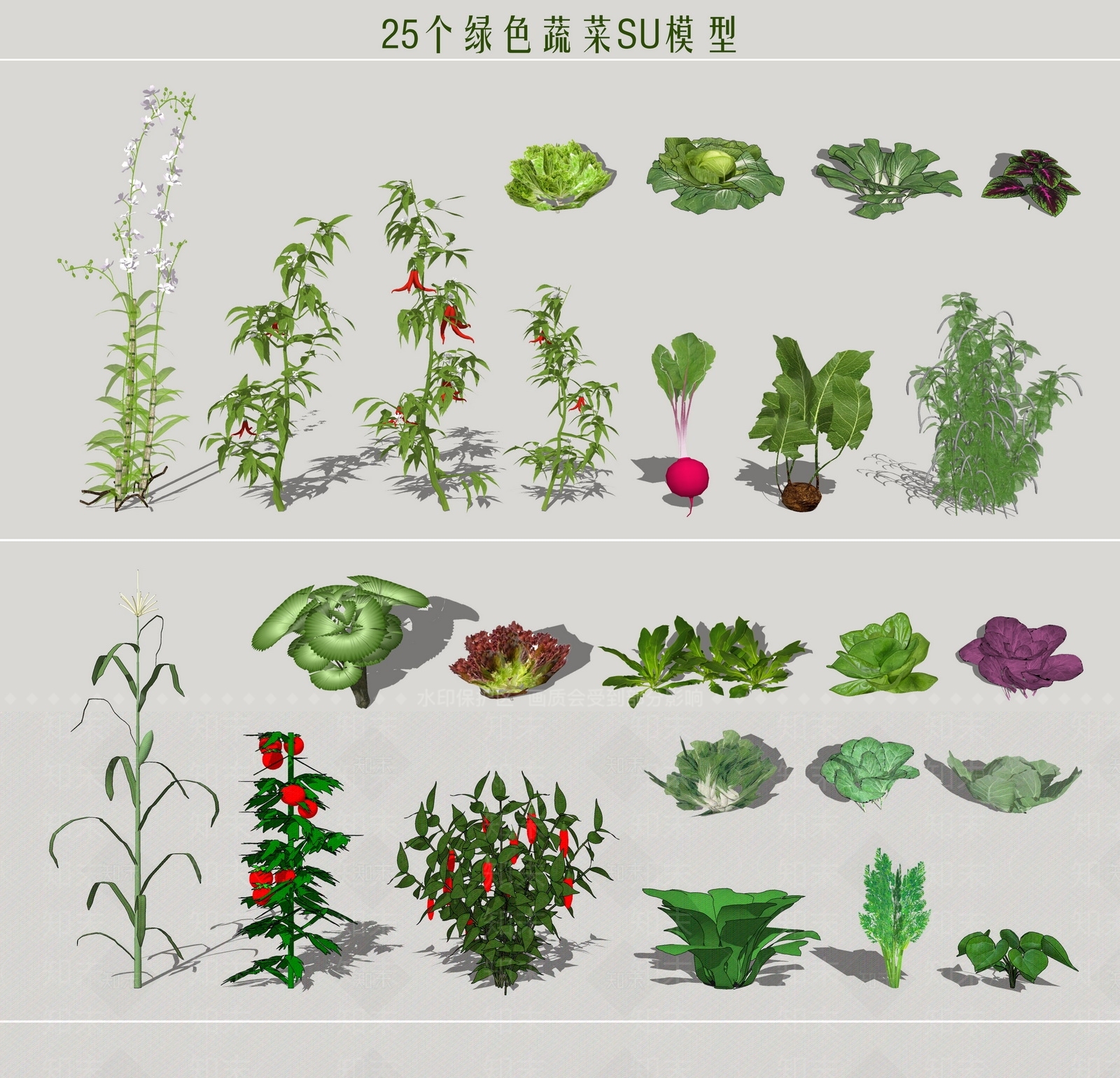 现代风格蔬菜SU模型下载【ID:257983172】
