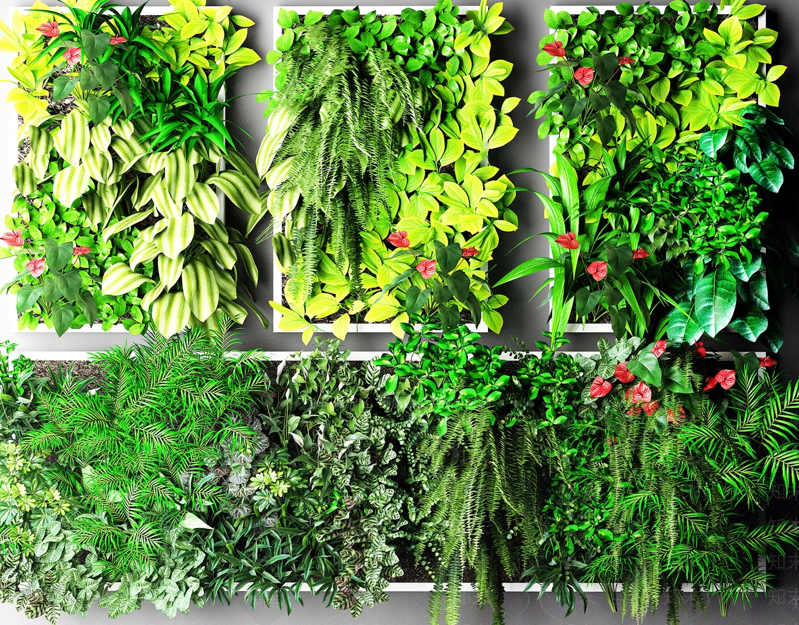 现代植物3D模型下载【ID:458221238】
