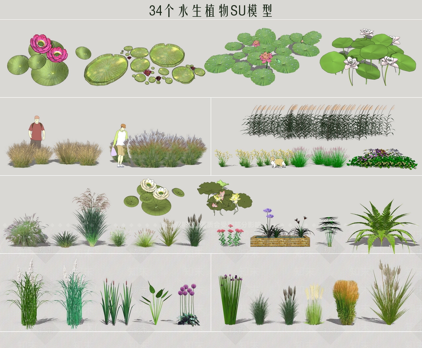 现代风格植物SU模型下载【ID:258867171】