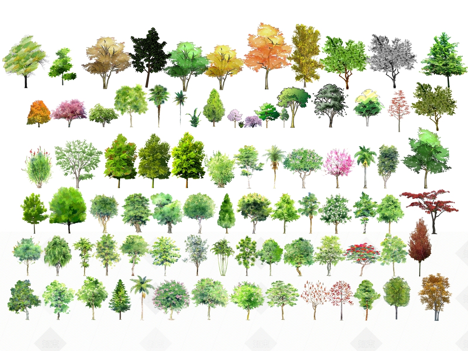 现代风格手绘植物SU模型下载【ID:159132661】