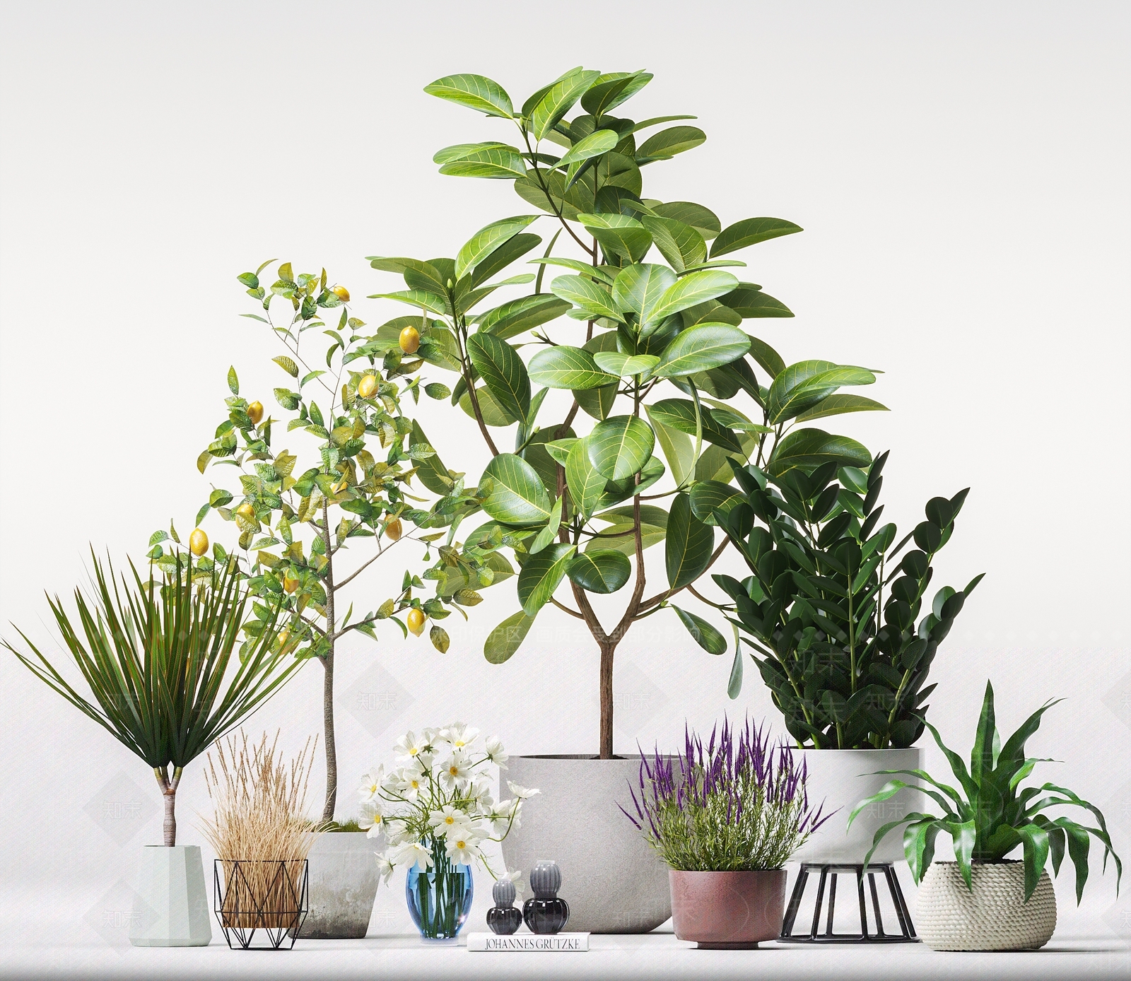 现代柠檬树3D模型下载【ID:359395856】