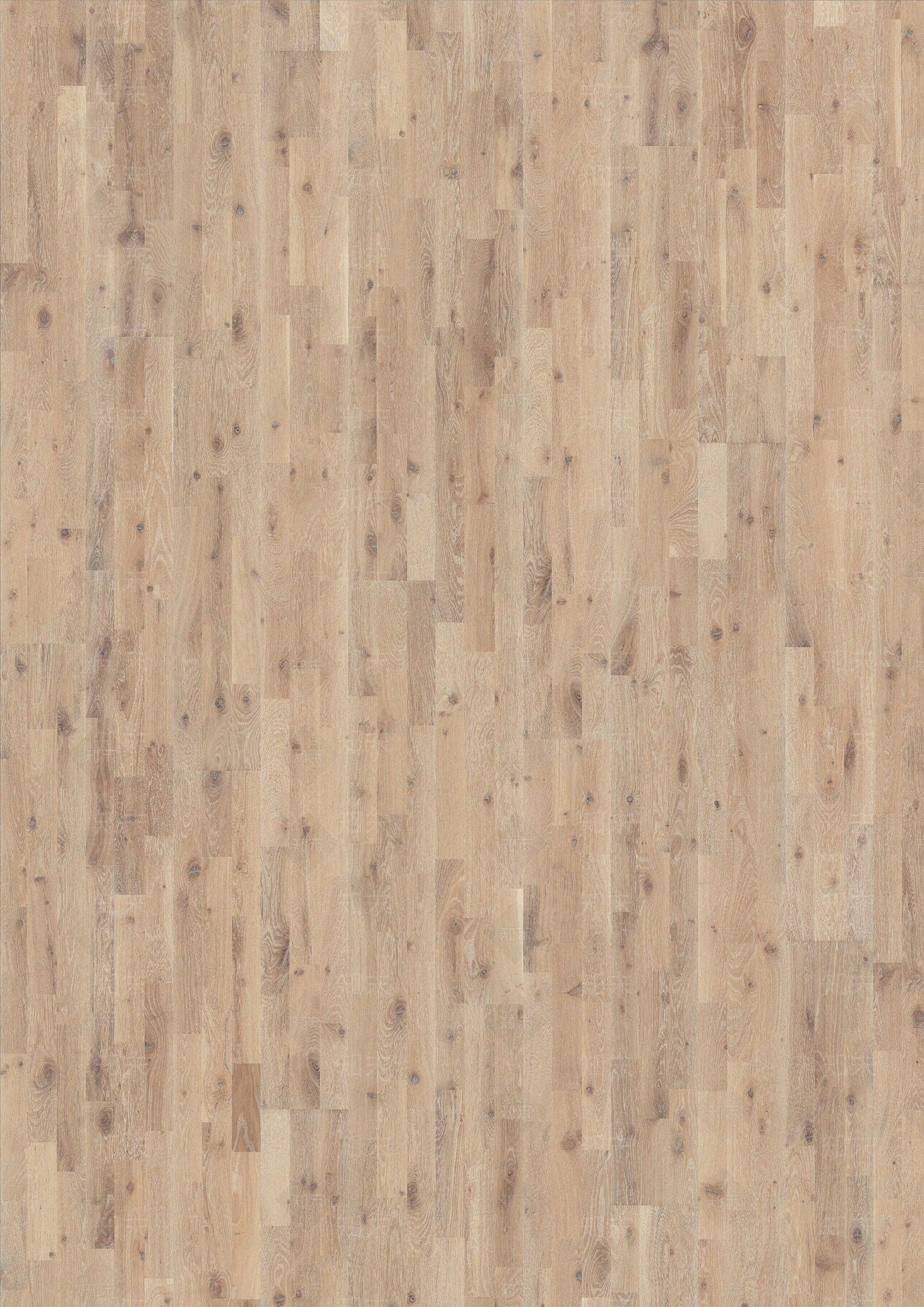 高清木地板贴图贴图下载