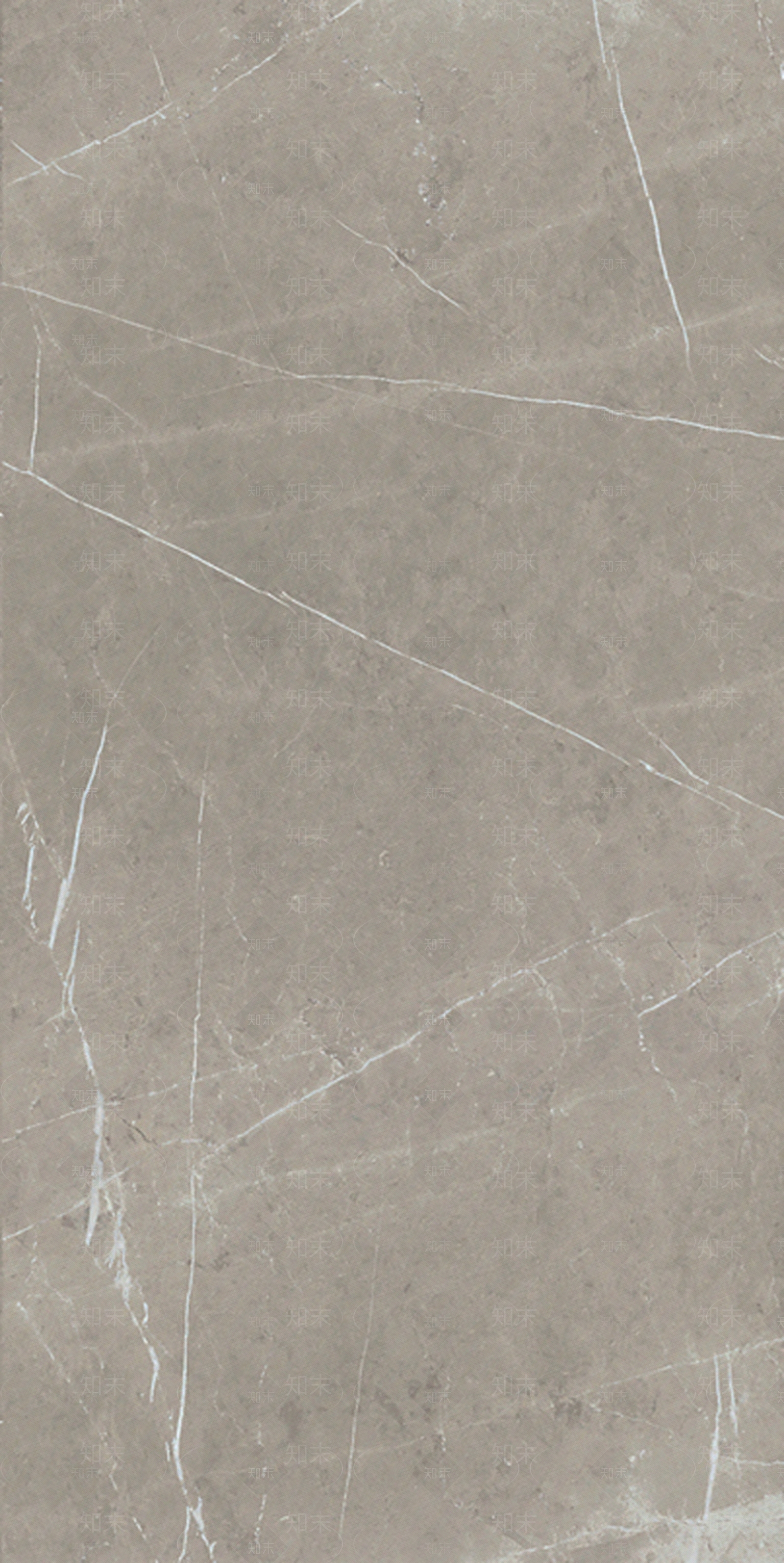 欧文莱大理石瓷砖贴图下载【ID:459602499】
