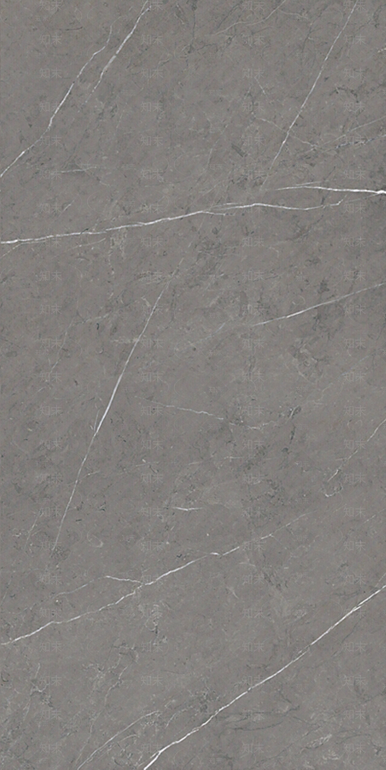 欧文莱大理石瓷砖贴图下载【ID:459603434】