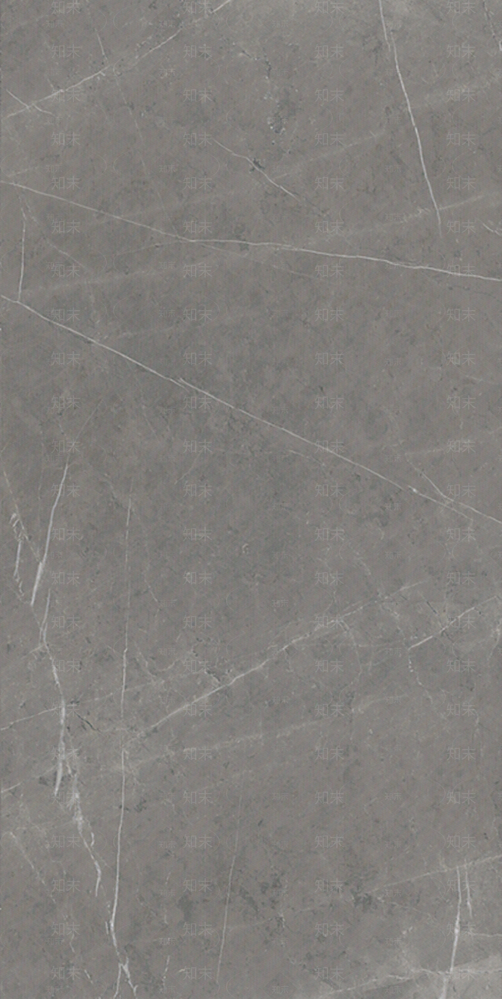 欧文莱大理石瓷砖贴图下载【ID:459603447】