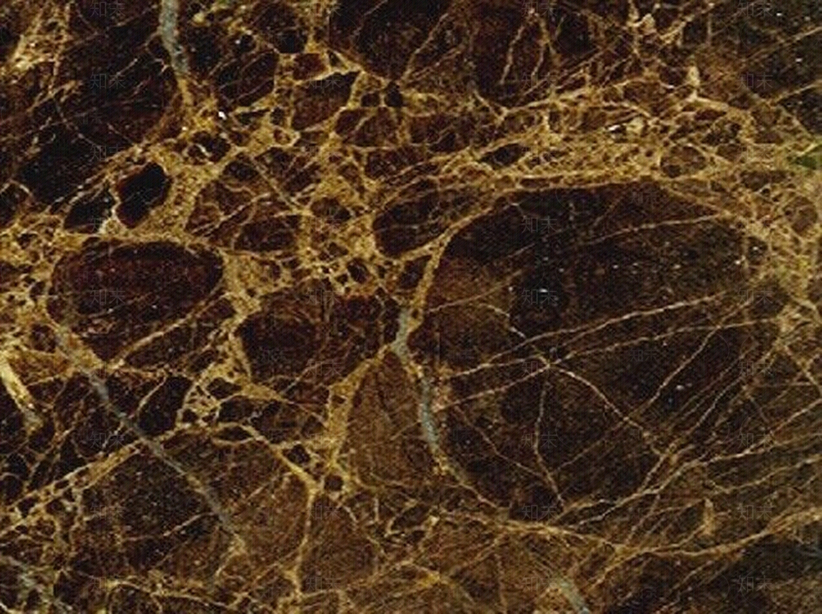 啡网纹大理石贴图下载【ID:460486499】