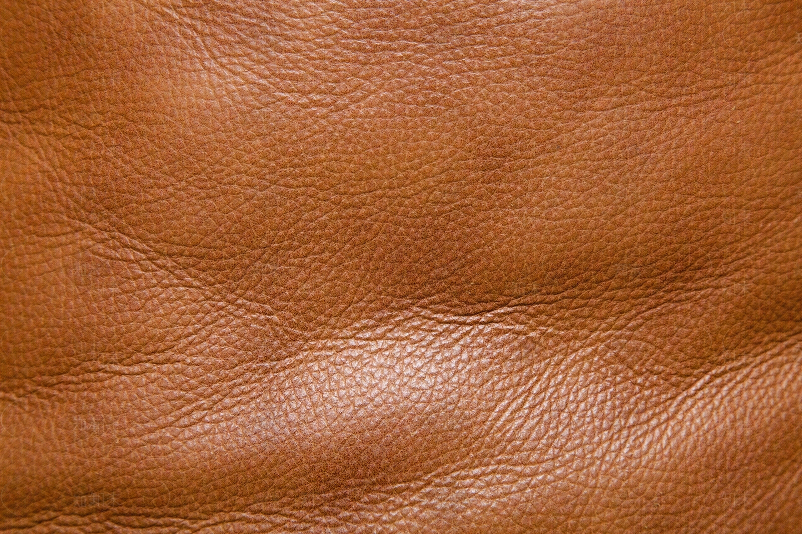 常用皮革粗纹皮革细纹皮革鳄鱼皮贴图下载