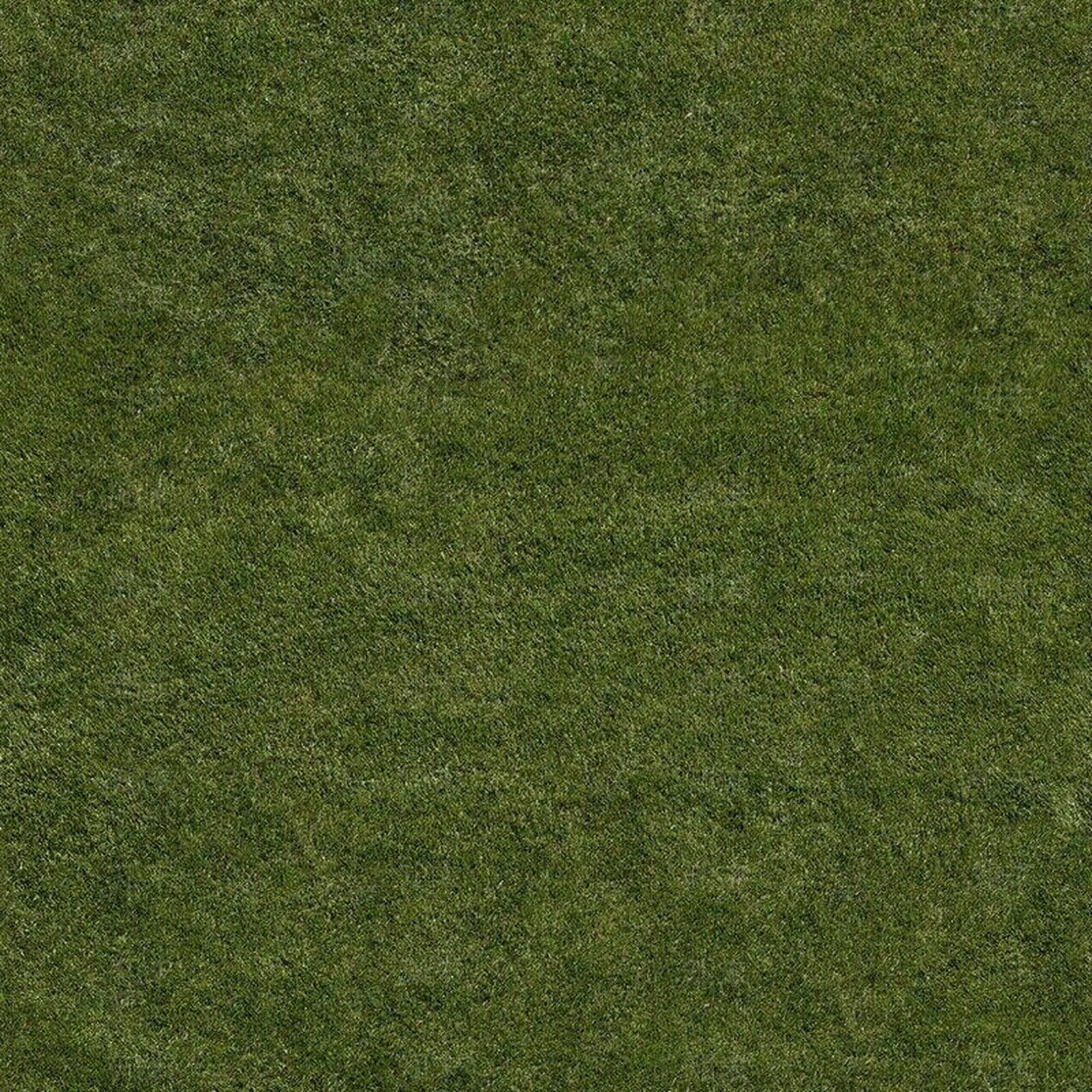 高清草地贴图贴图下载【ID:460571390】