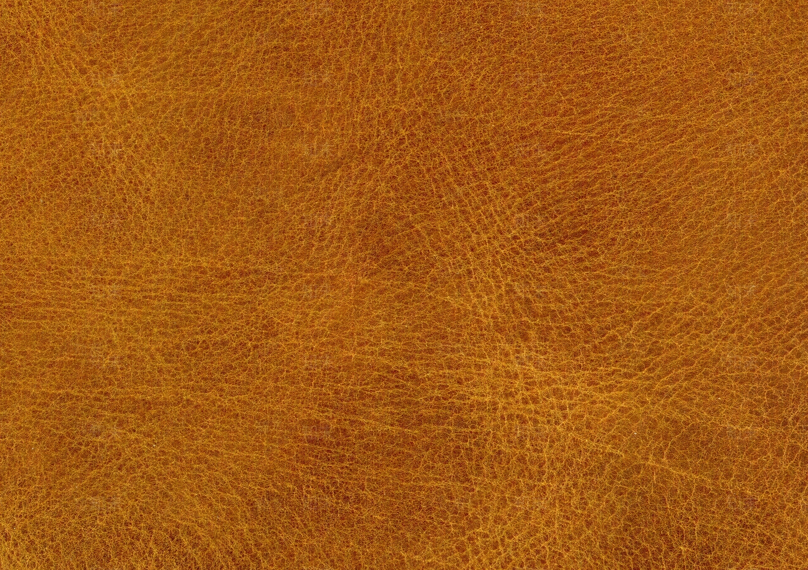 常用皮革粗纹皮革细纹皮革鳄鱼皮贴图下载