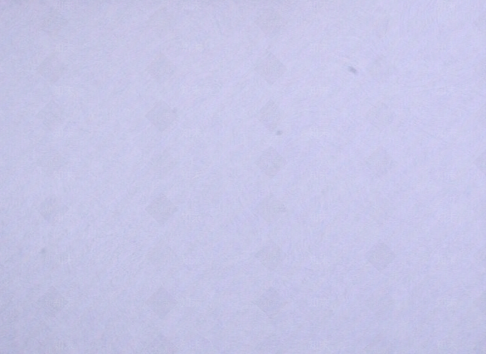 淡紫色纯色壁纸贴图下载【ID:960632263】