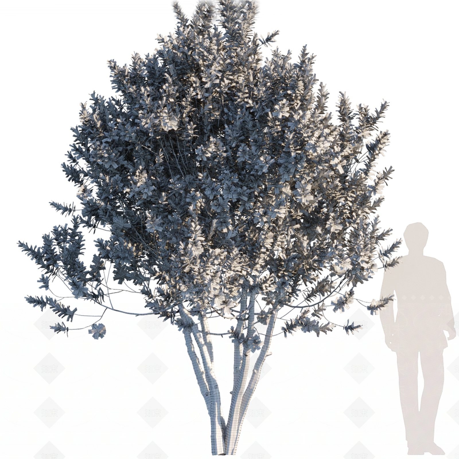 现代景观树3D模型下载【ID:360695982】
