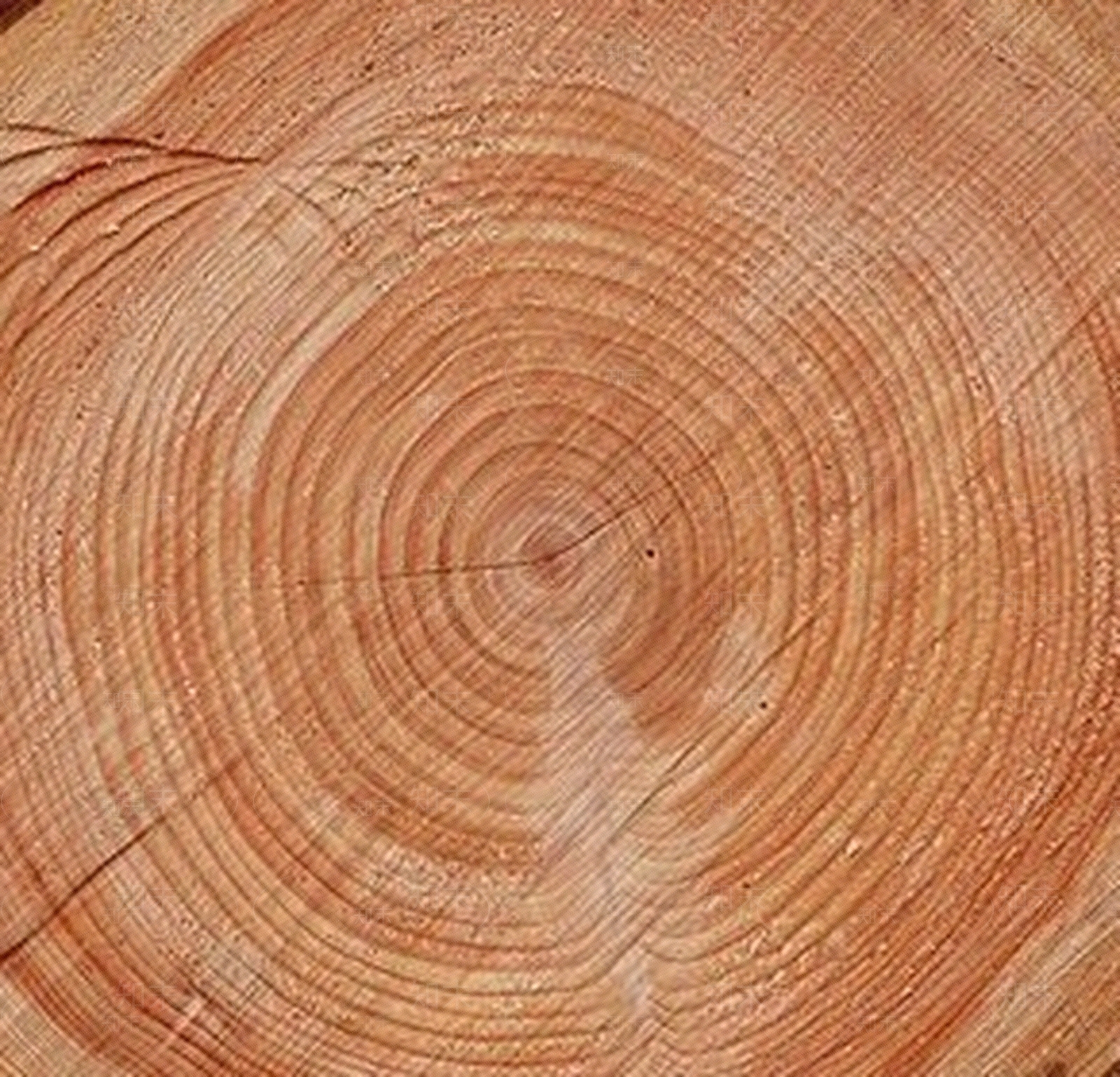 现代木纹贴图下载【ID:960867071】