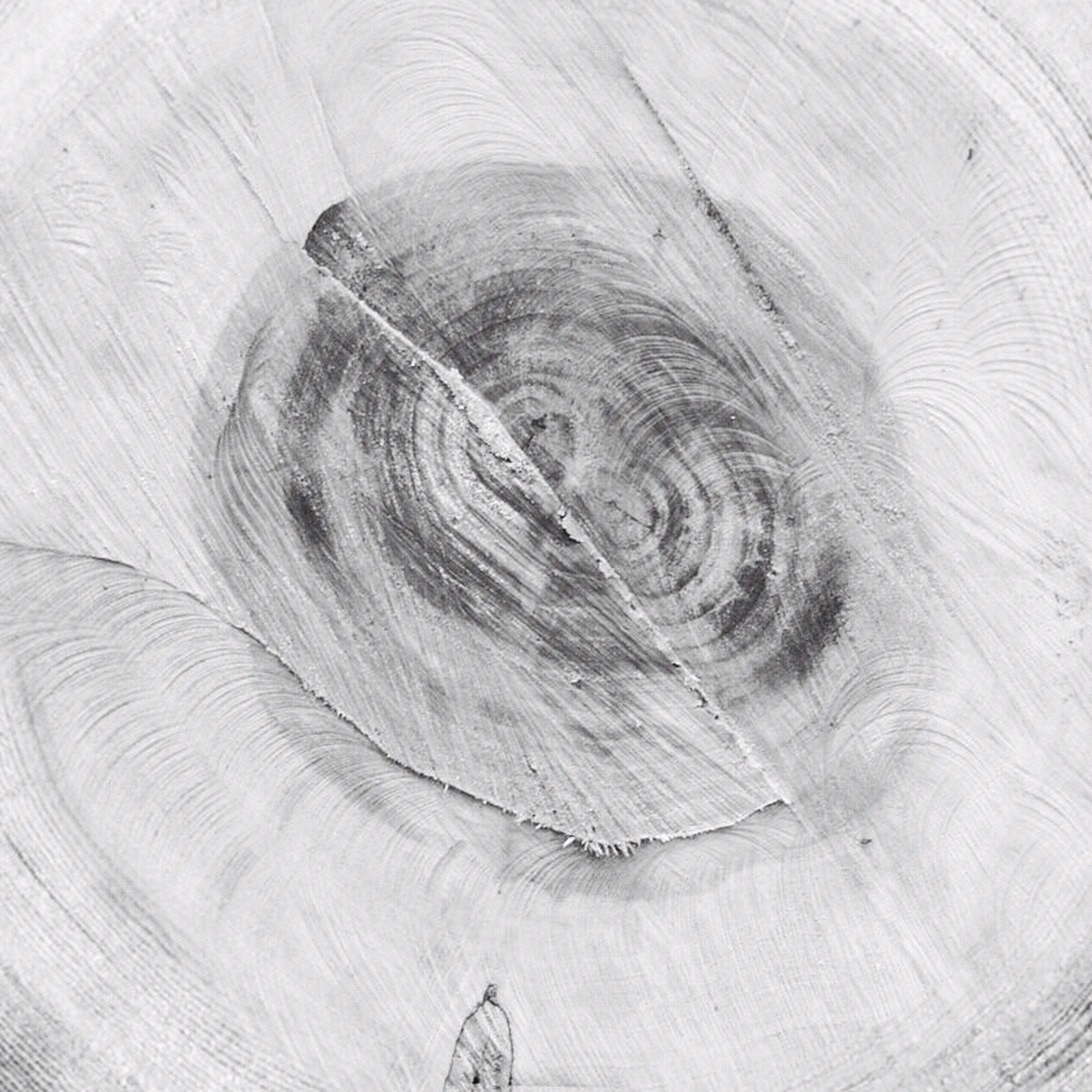 现代木纹贴图下载【ID:960868036】