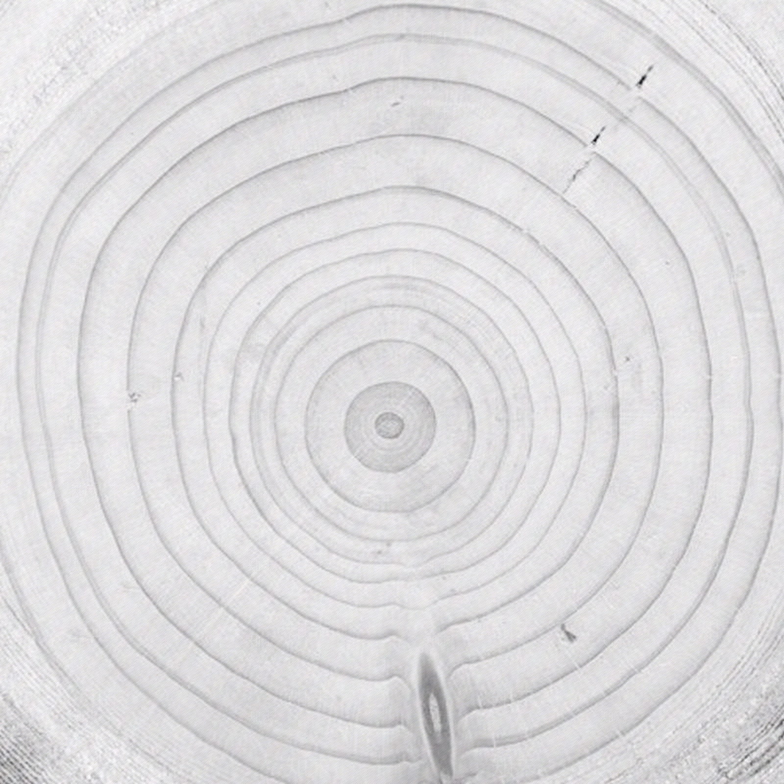 现代木纹贴图下载【ID:960868053】