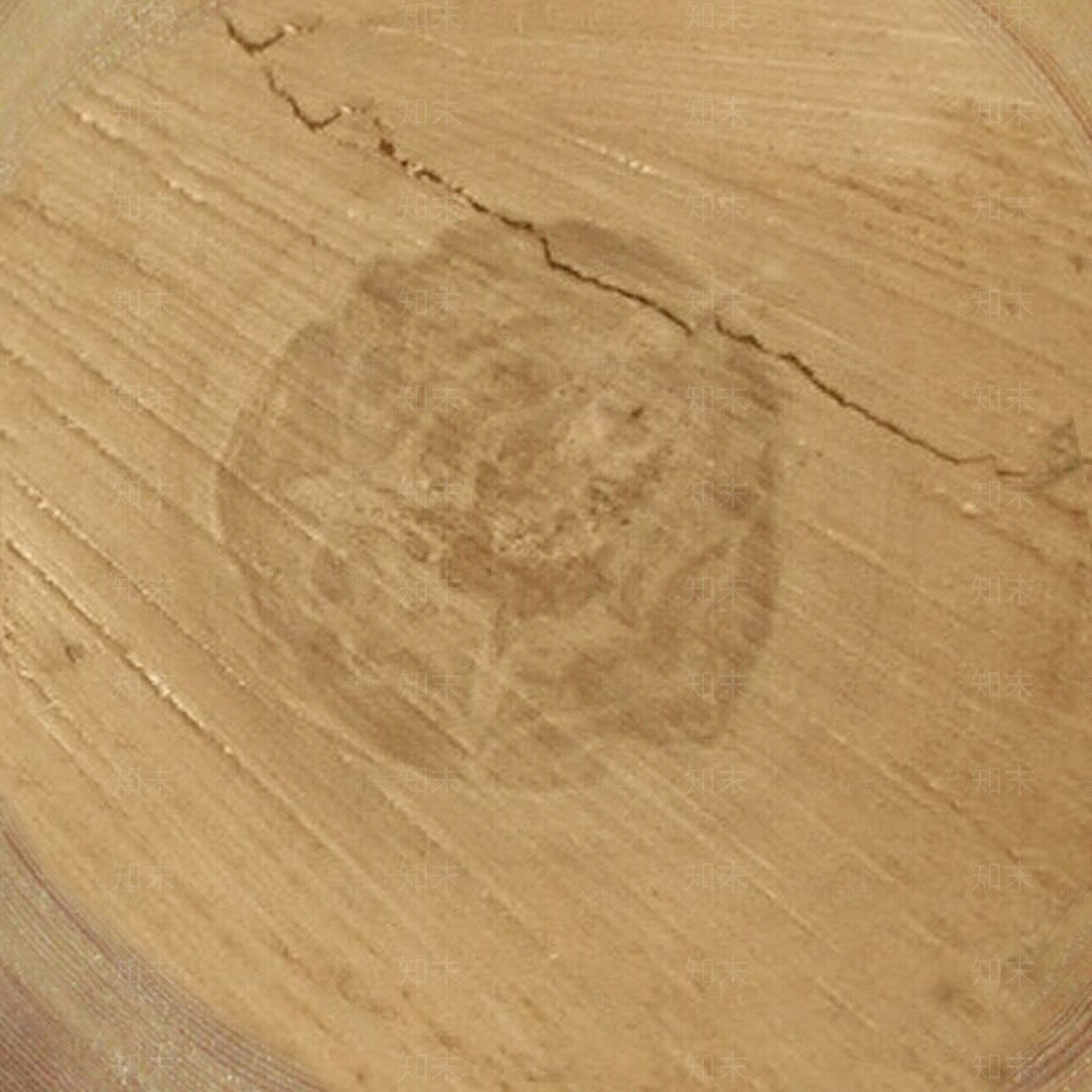 现代木纹贴图下载【ID:960868068】