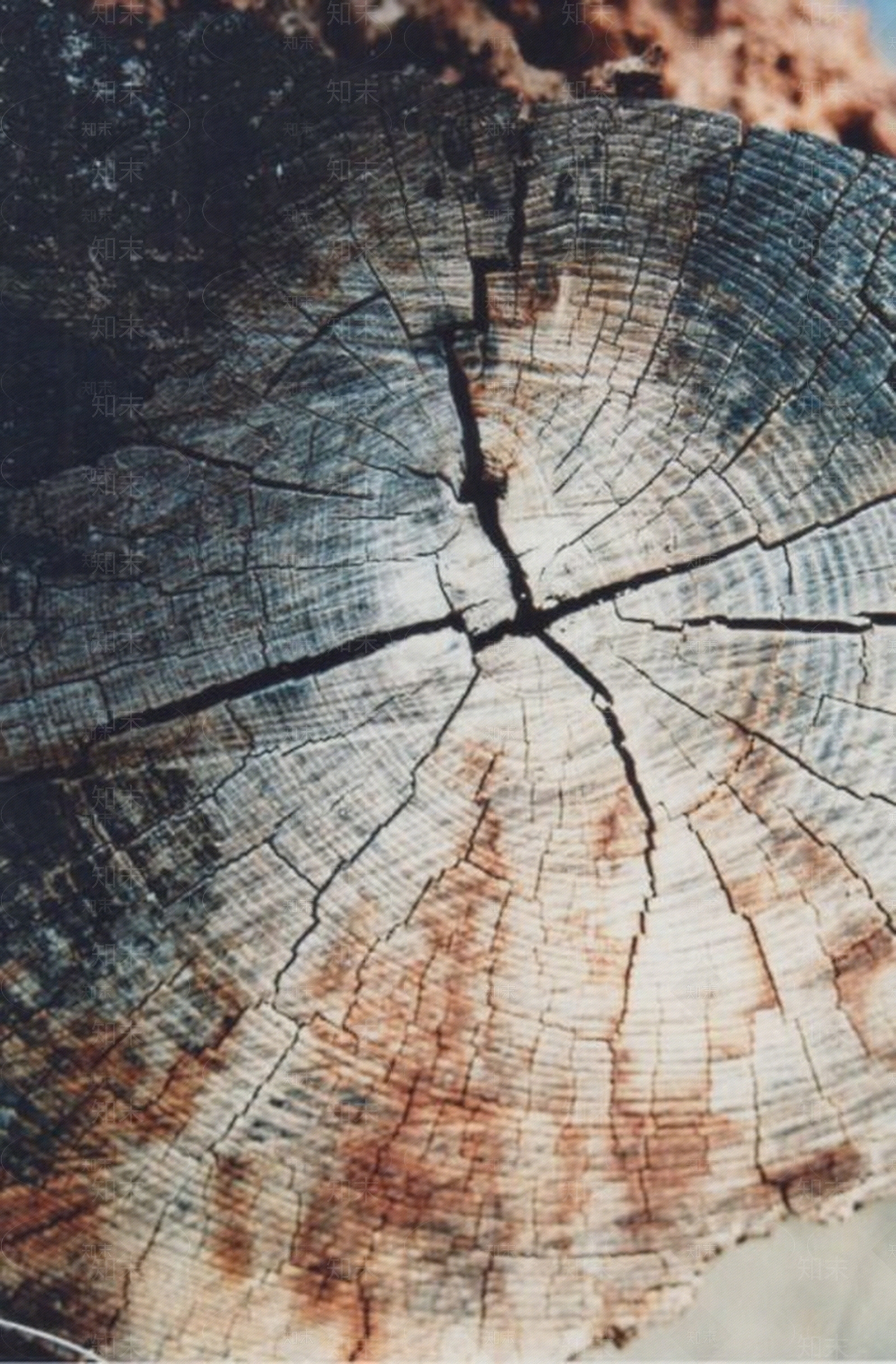 现代木纹贴图下载【ID:960868095】