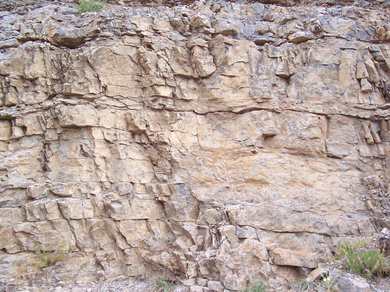 石岩壁,石头,石墙贴图下载【ID:860894699】