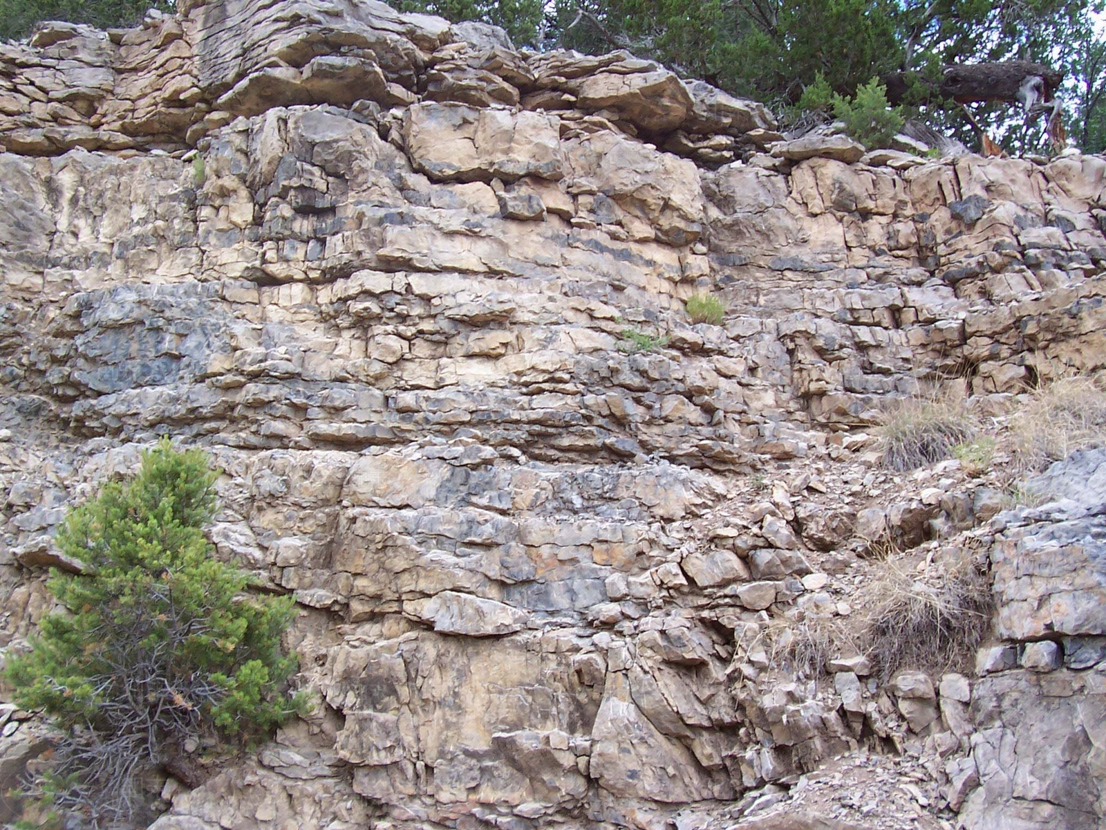 石岩壁，石头，石墙贴图下载【ID:860895601】