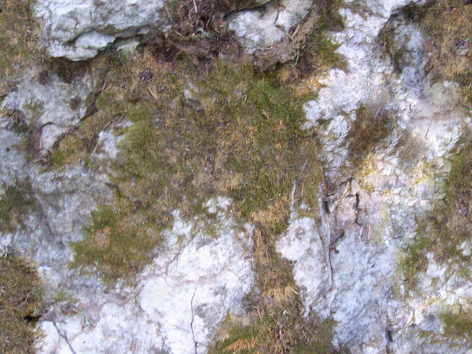 石岩壁,石头,石墙贴图下载【ID:860900684】